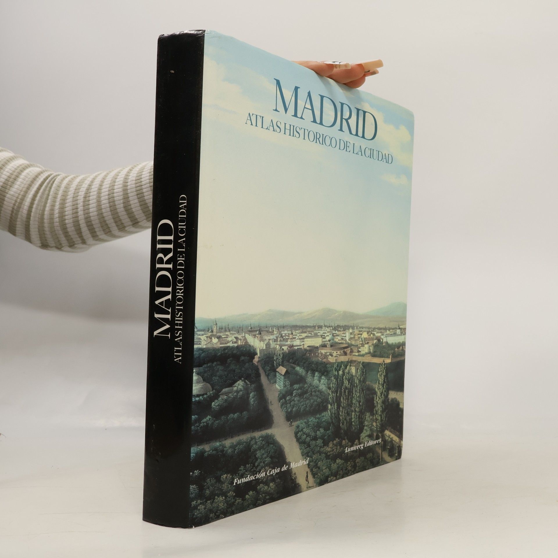 Virgilio Pinto Crespo Madrid