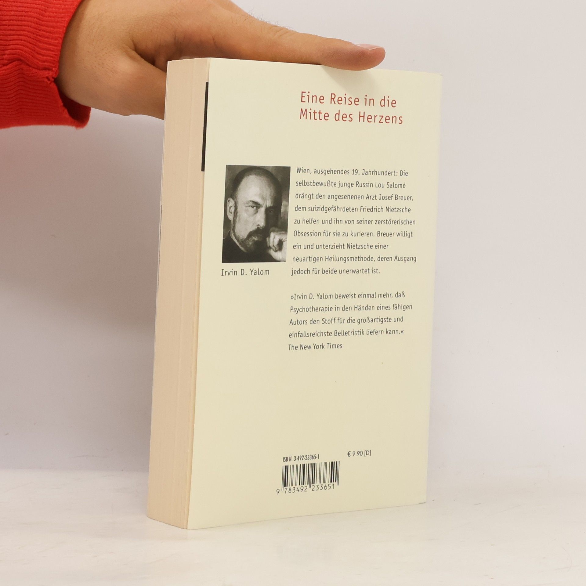 Irvin Yalom Und Nietzsche weinte