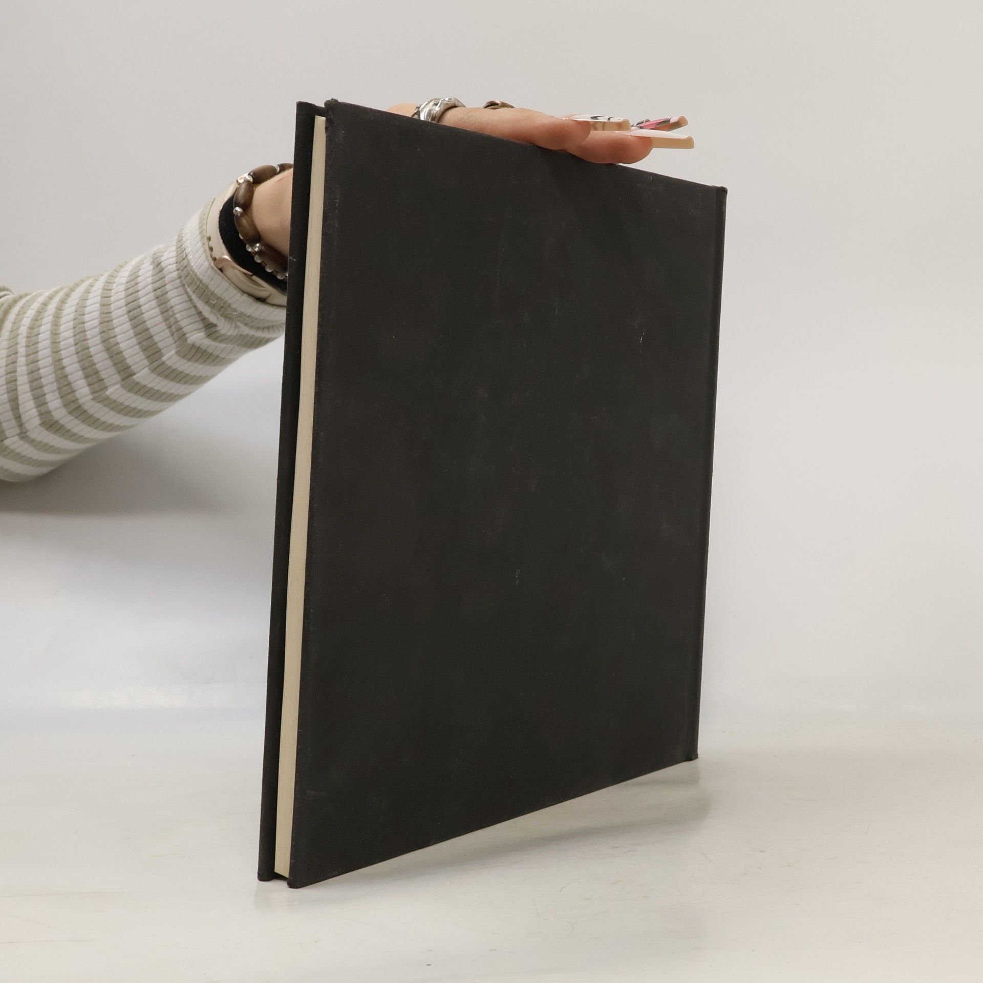 Kolektiv autorů Pariser Modelle. Journal des Dames et des Modes 2