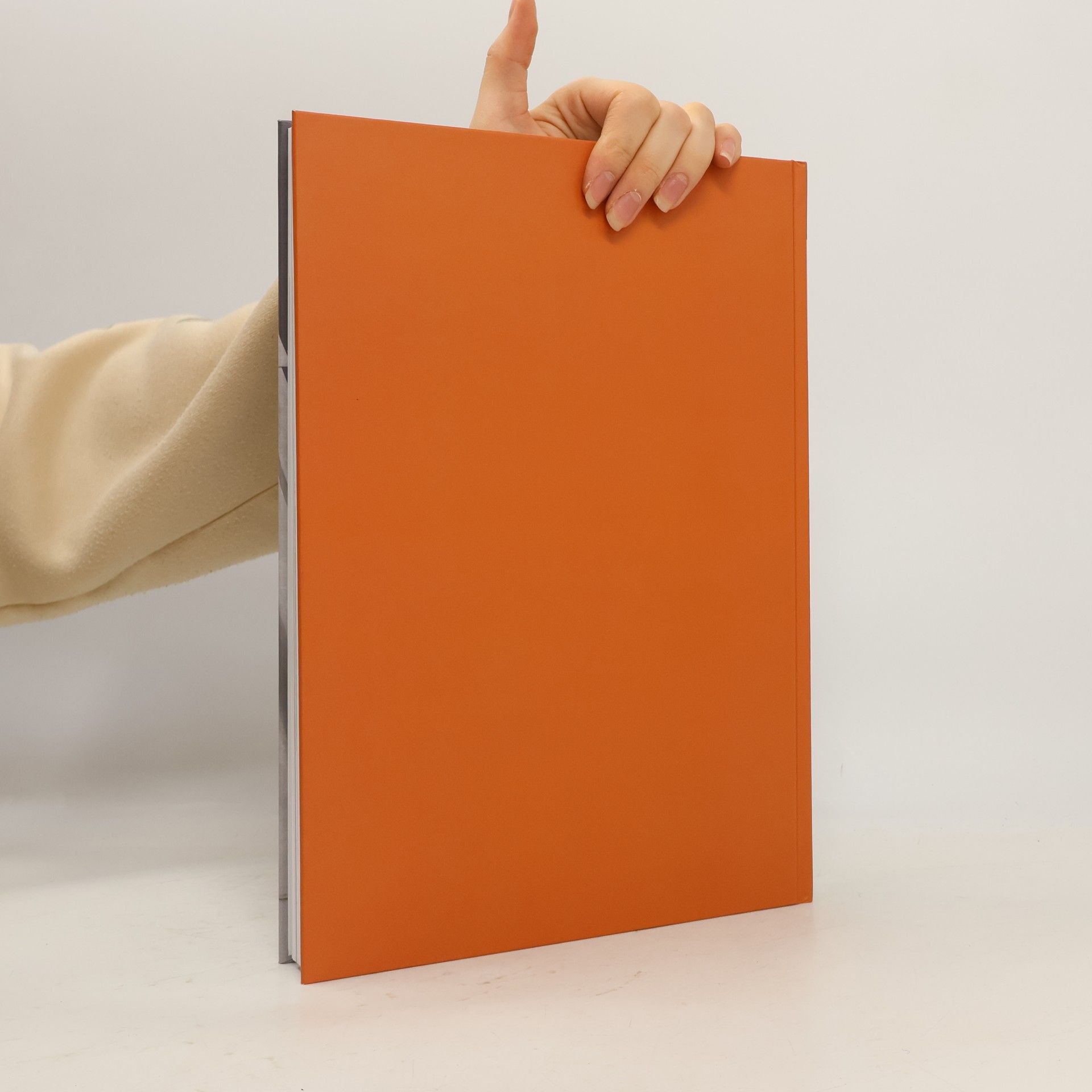 Michael Kienzer Michael Kienzer. Some Works 09/2024. Ediz. italiana, inglese e tedesca