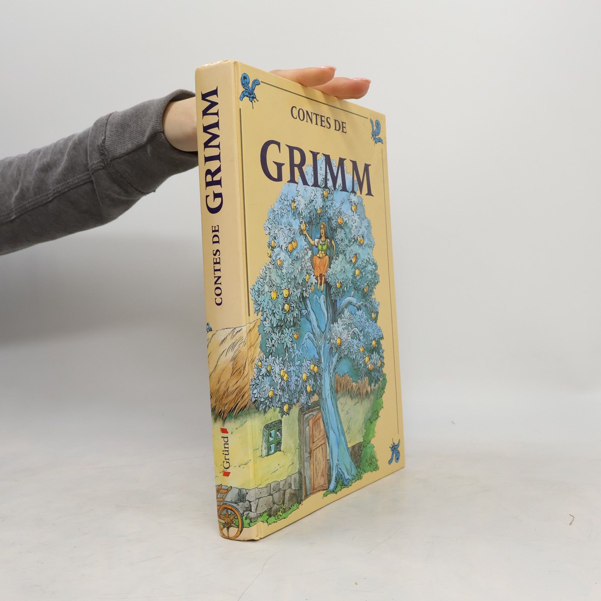 Frédéric Baudry Contes de Grimm