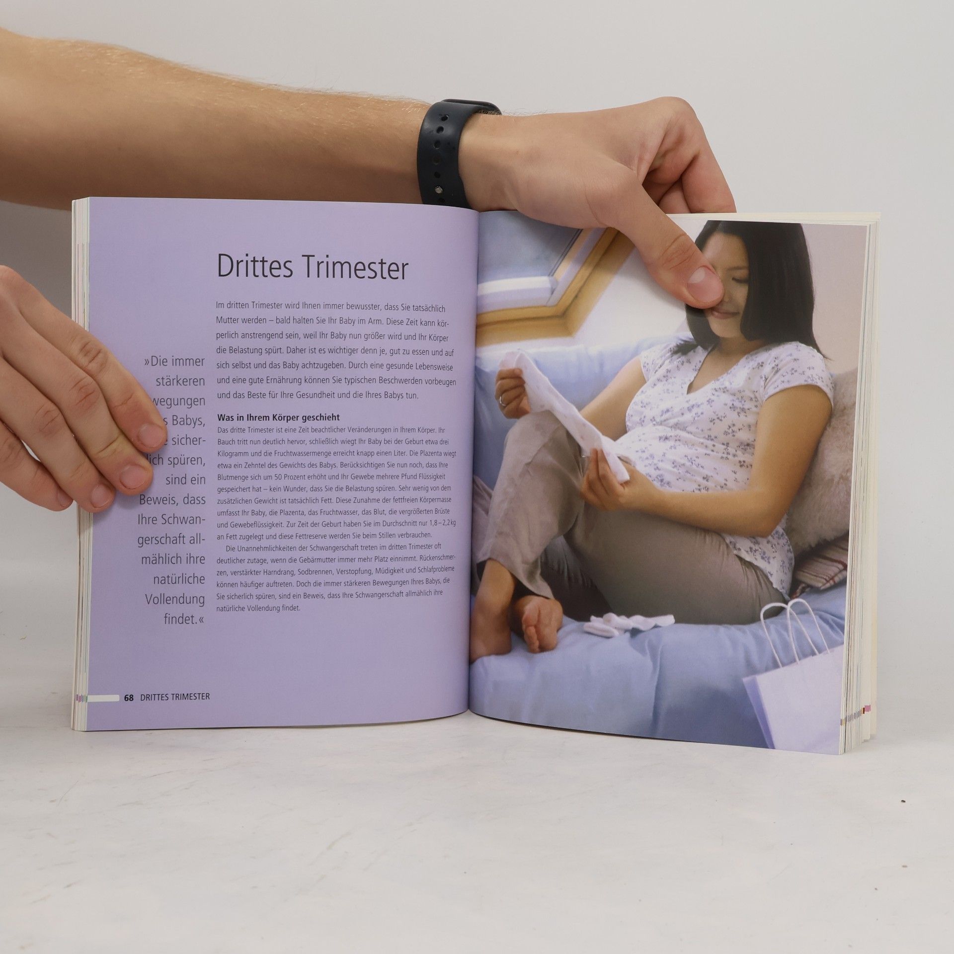 Hope Ricciotti Das Schwangerschafts-Kochbuch