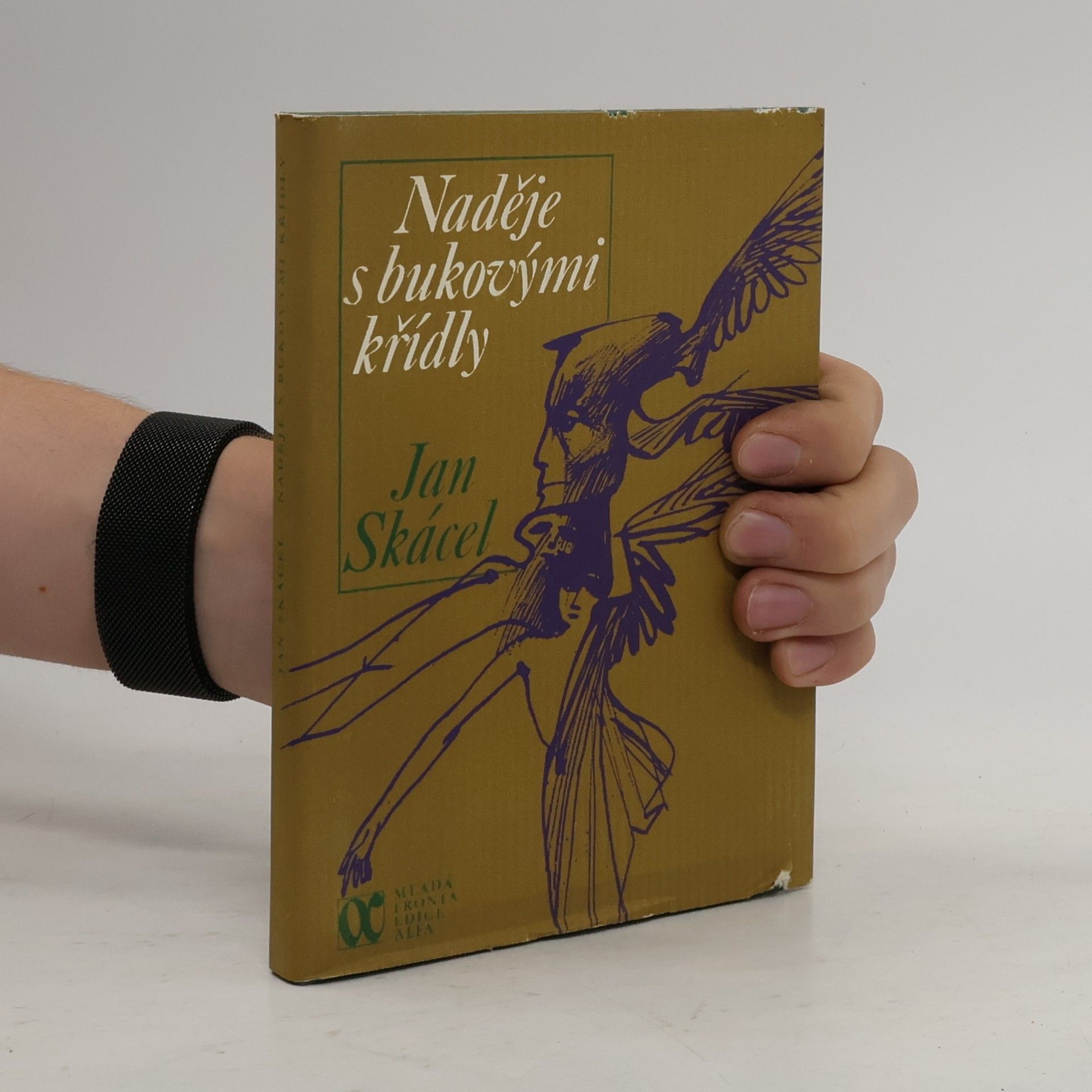 Jan Skácel Naděje s bukovými křídly