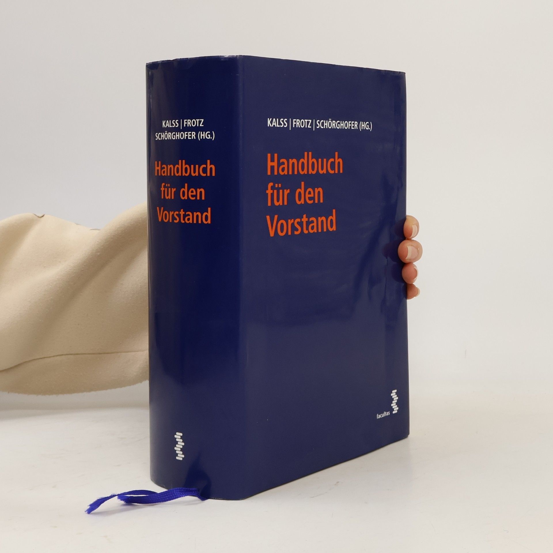Paul Schörghofer Handbuch für den Vorstand