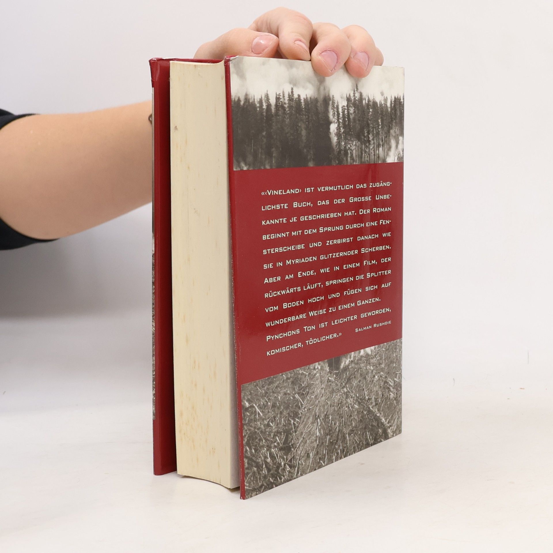 Thomas Pynchon Vineland