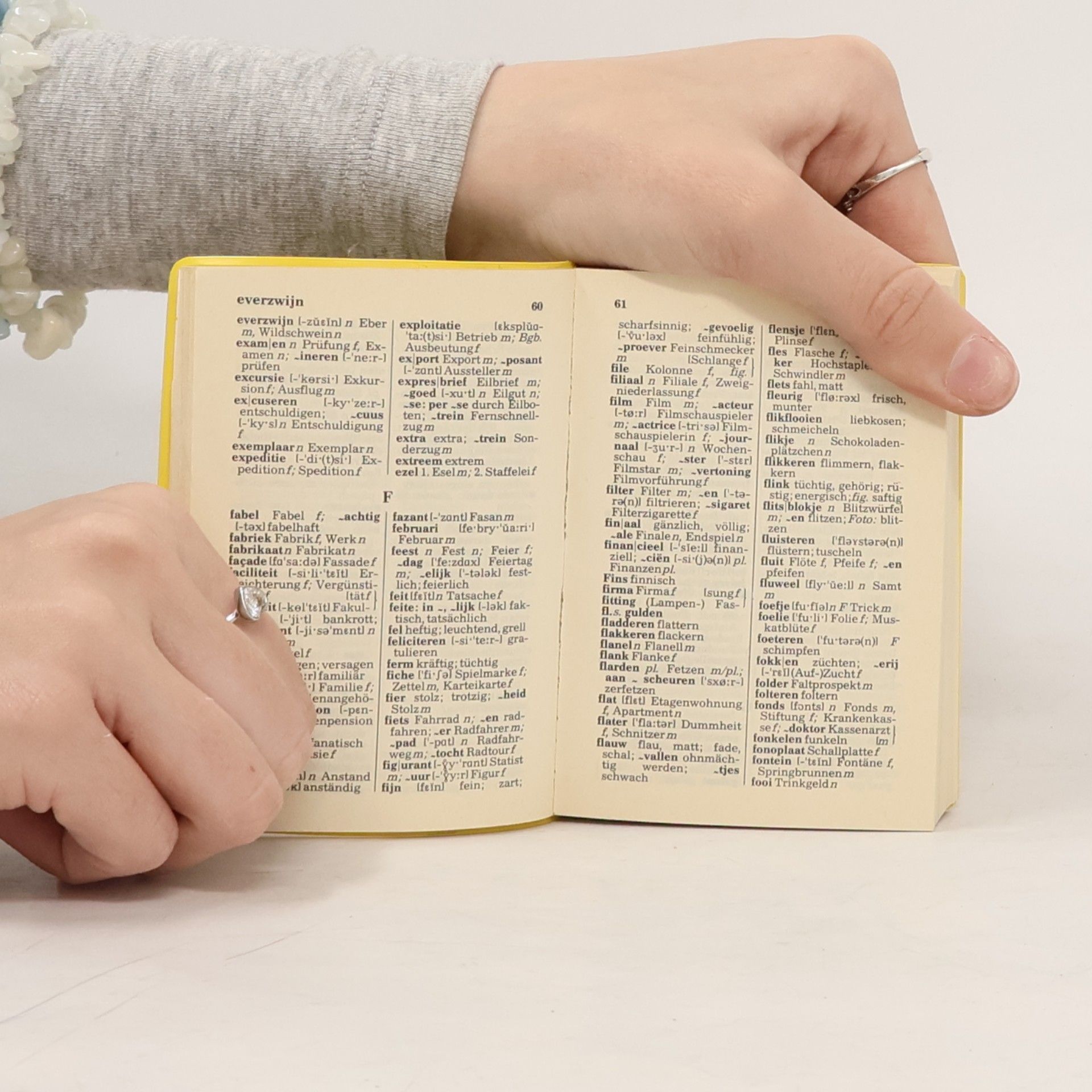 Frans Beersmans Langenscheidts Universal-Wörterbuch Niederländisch