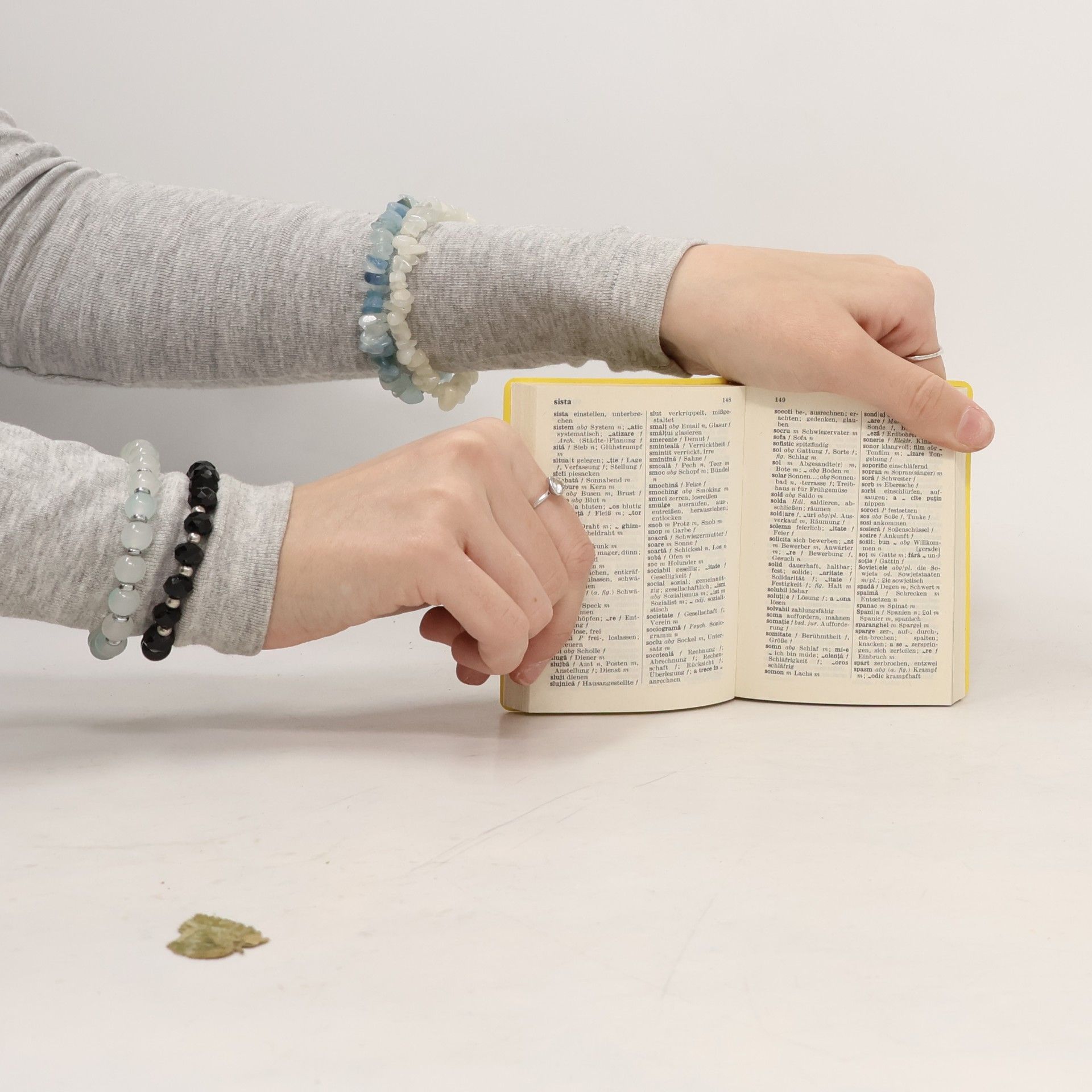 Ernst Erwin Lange-Kowal Langenscheidts Universal-Wörterbuch Rumänisch