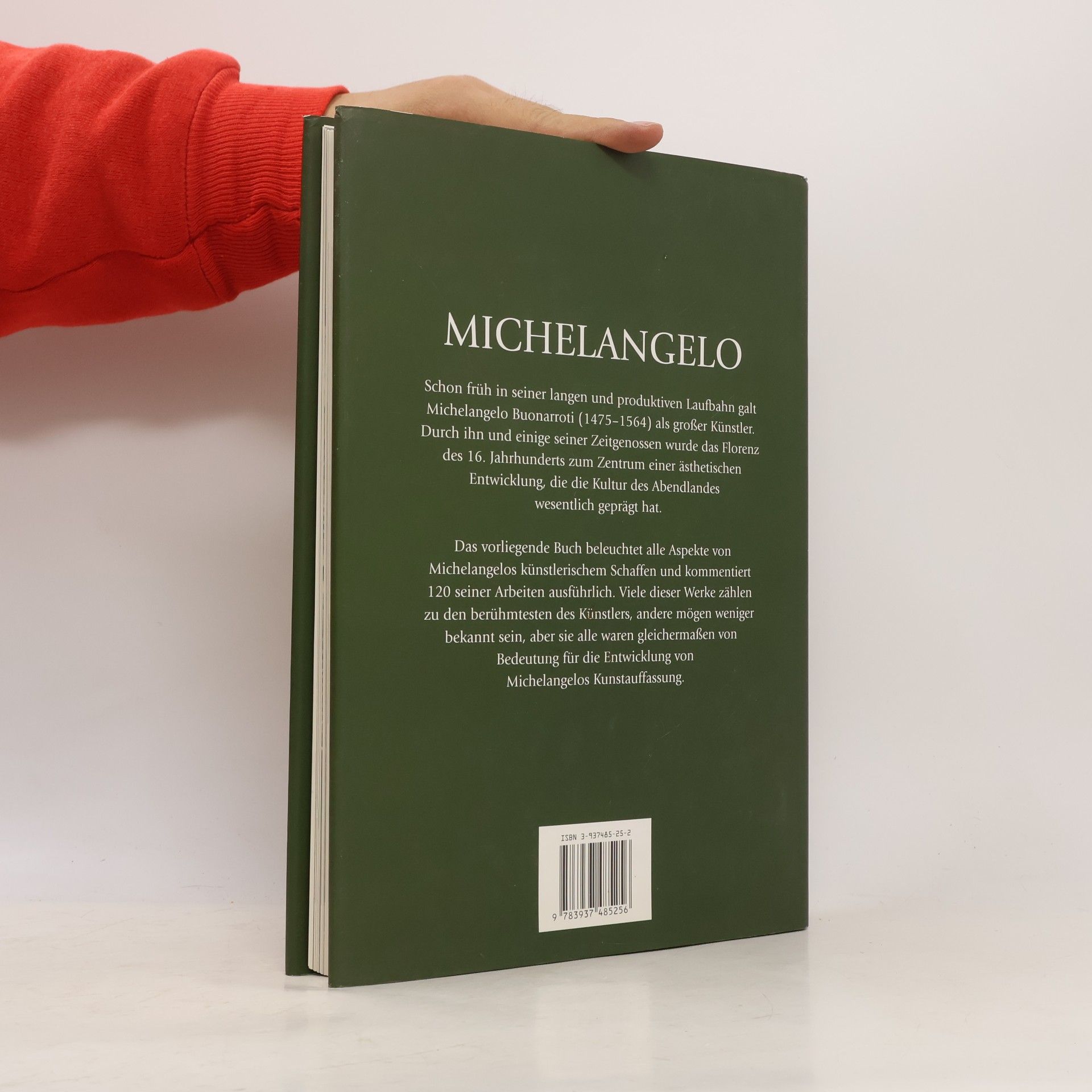 Kirsten Bradbury Michelangelo