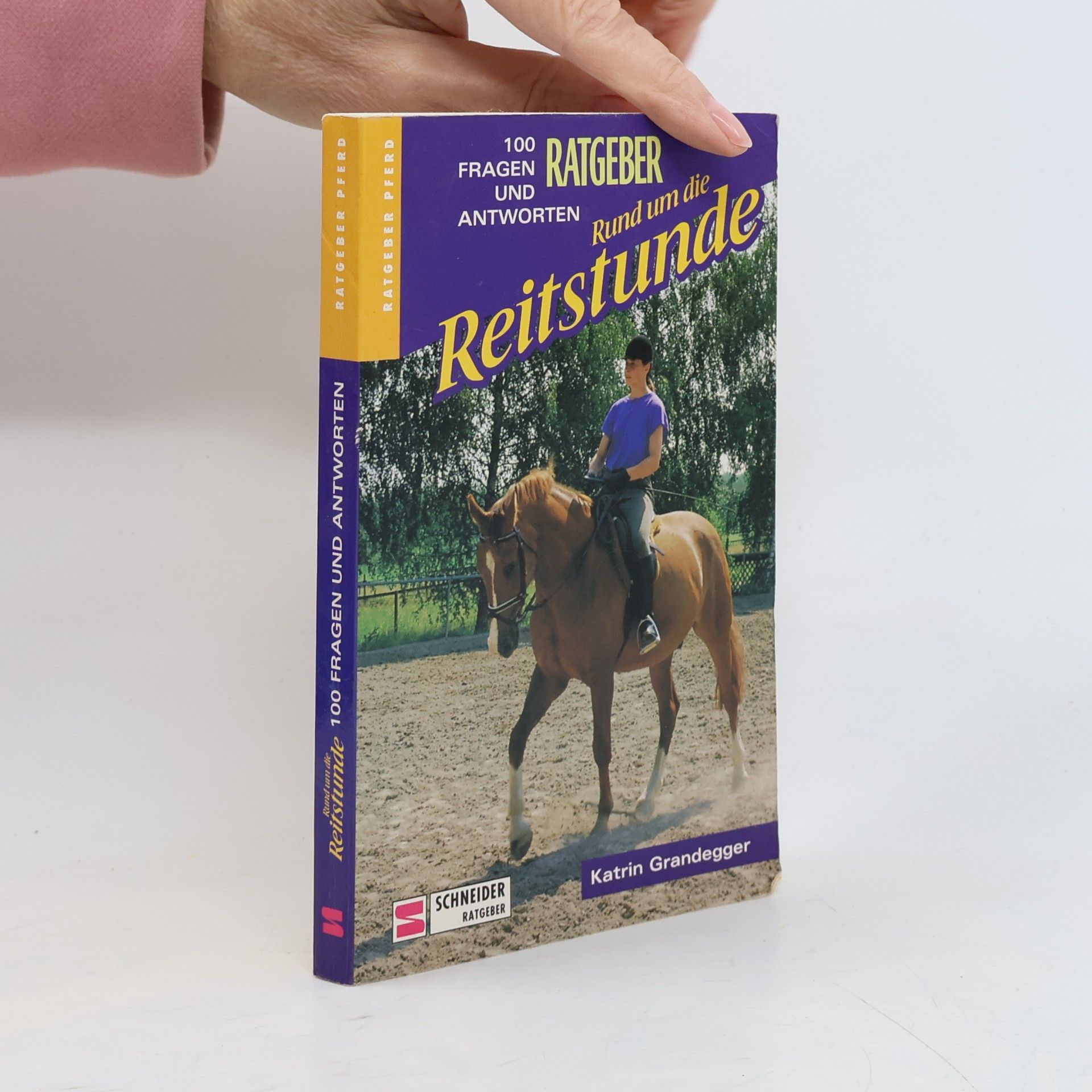 Katrin Grandegger Rund um die Reitstunde