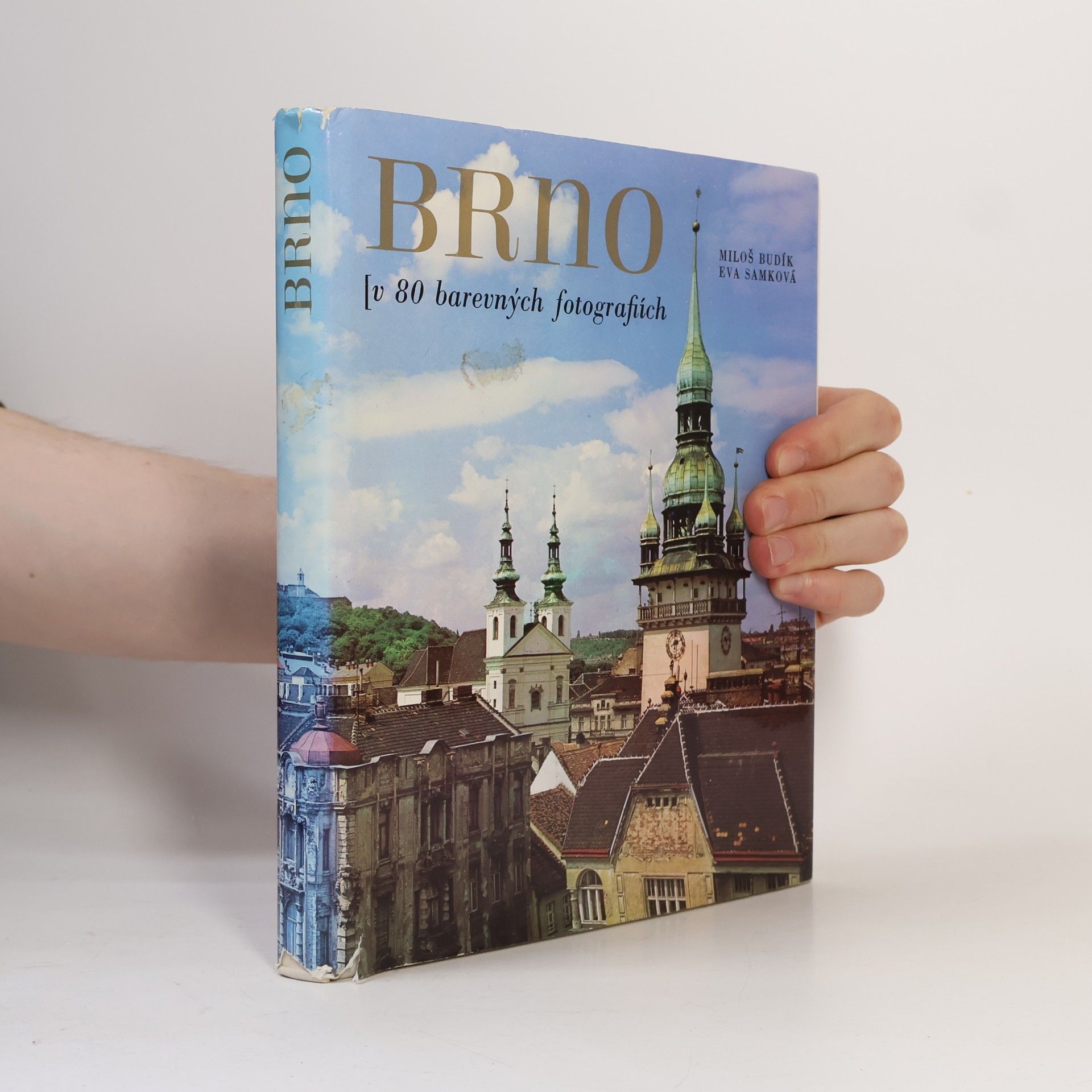 Brno. V 80 barevných fotografiích