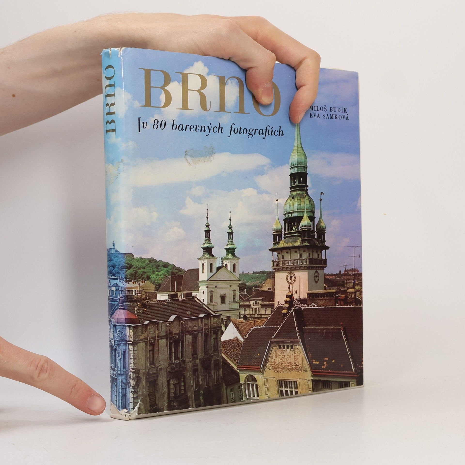 Miloš Budík Brno. V 80 barevných fotografiích