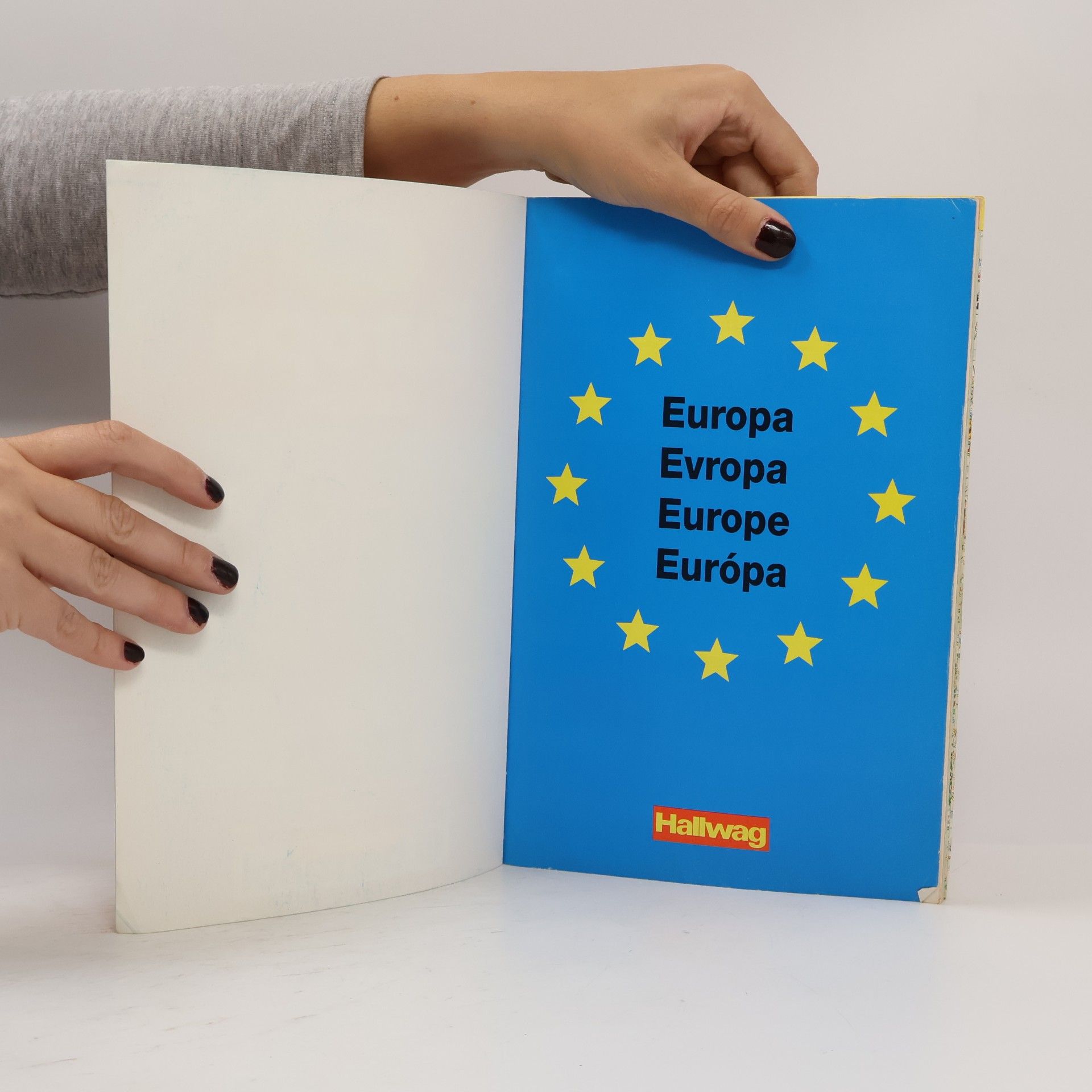 kolektiv Europa