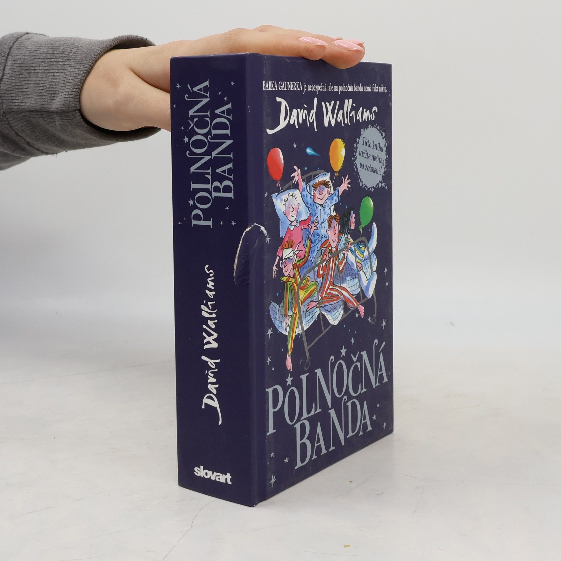 David Walliams Polnočná banda