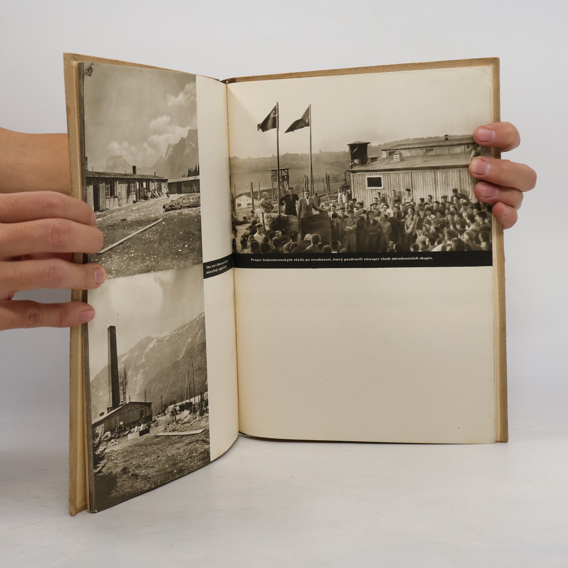 kolektiv Mauthausen