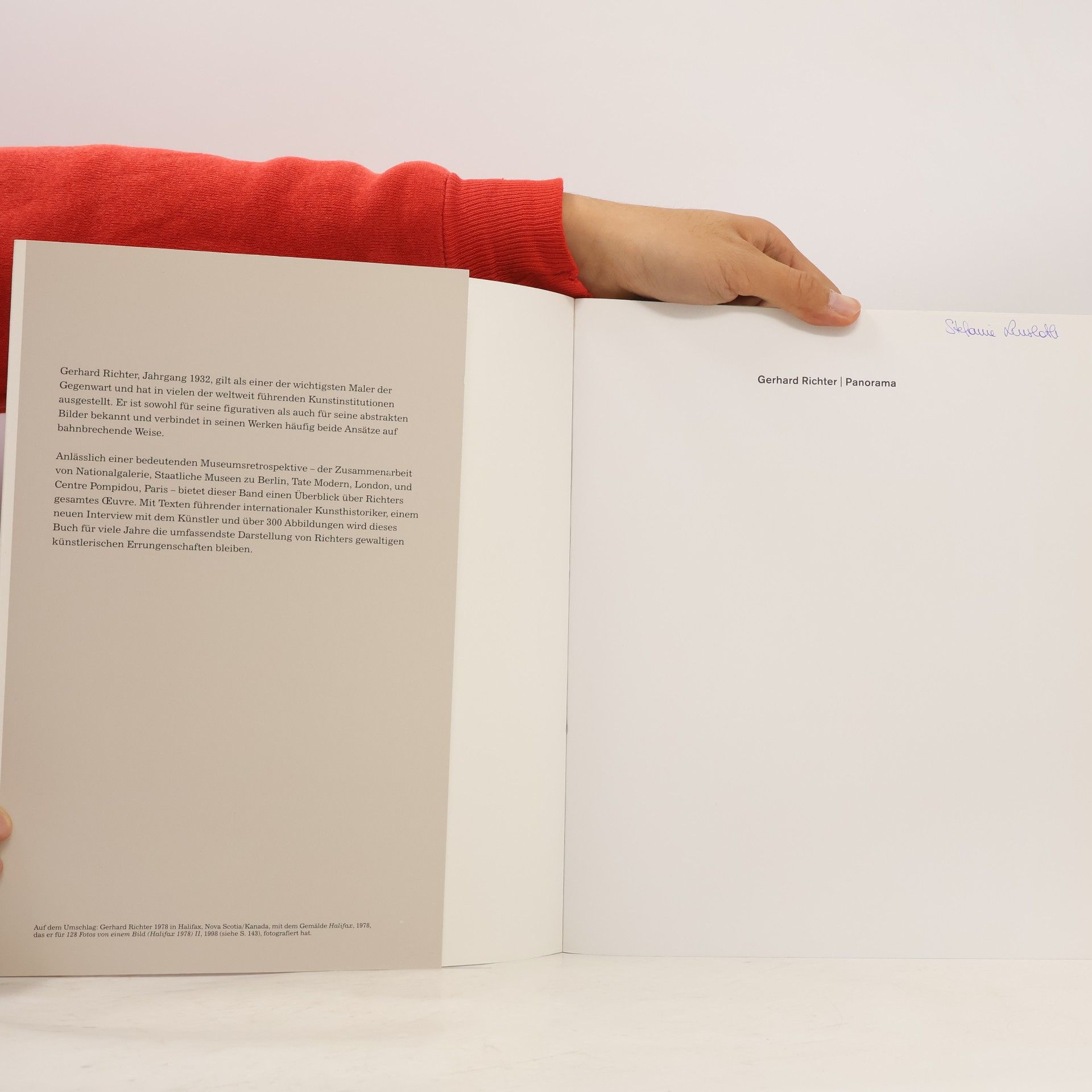 Achim Borchardt-Hume Gerhard Richter, Panorama
