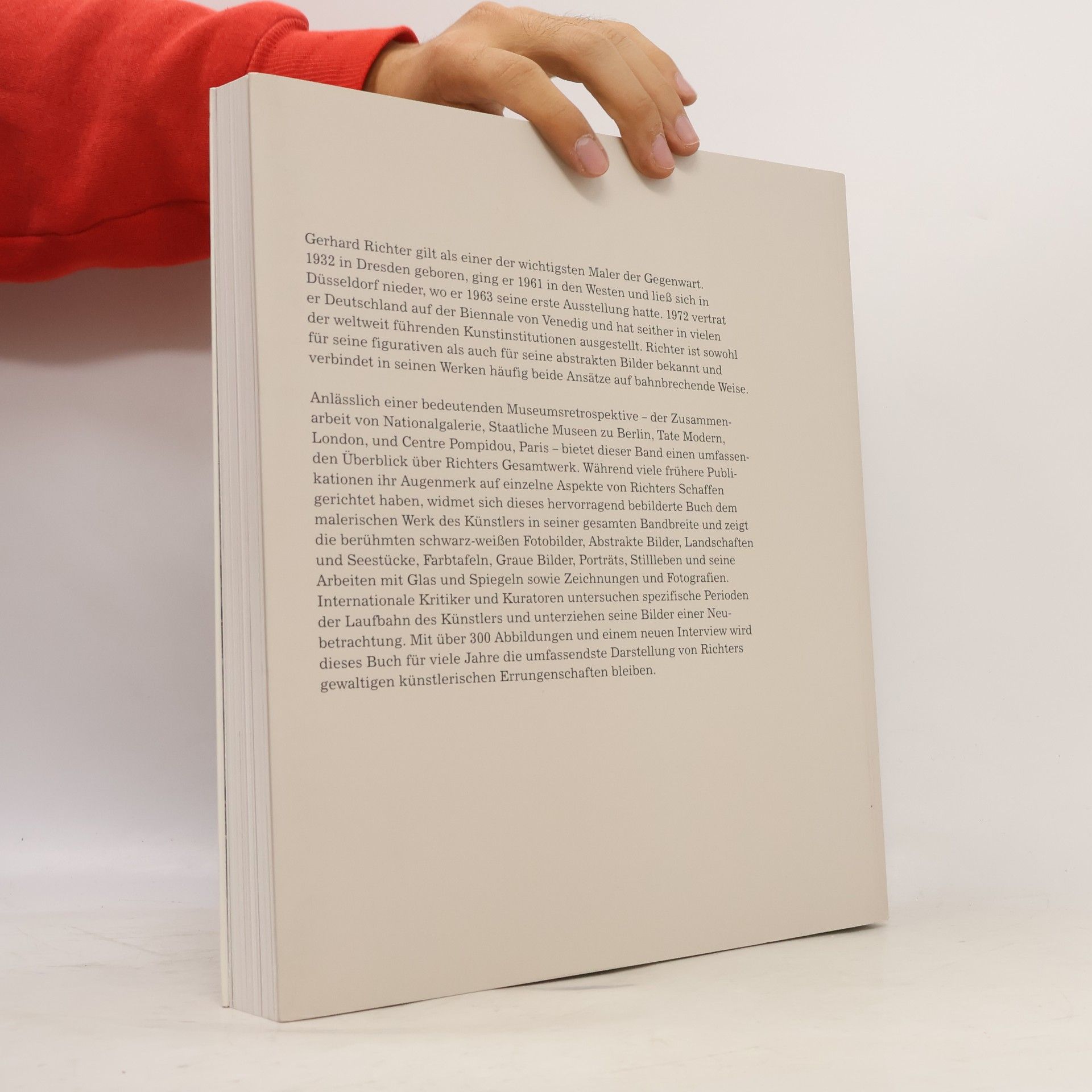 Achim Borchardt-Hume Gerhard Richter, Panorama