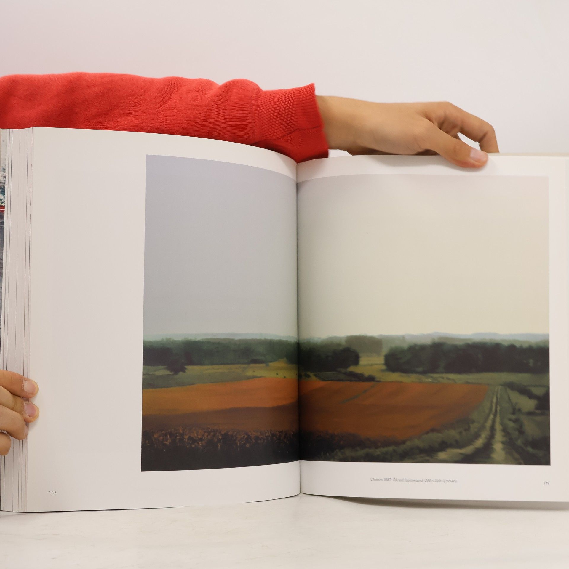 Achim Borchardt-Hume Gerhard Richter, Panorama