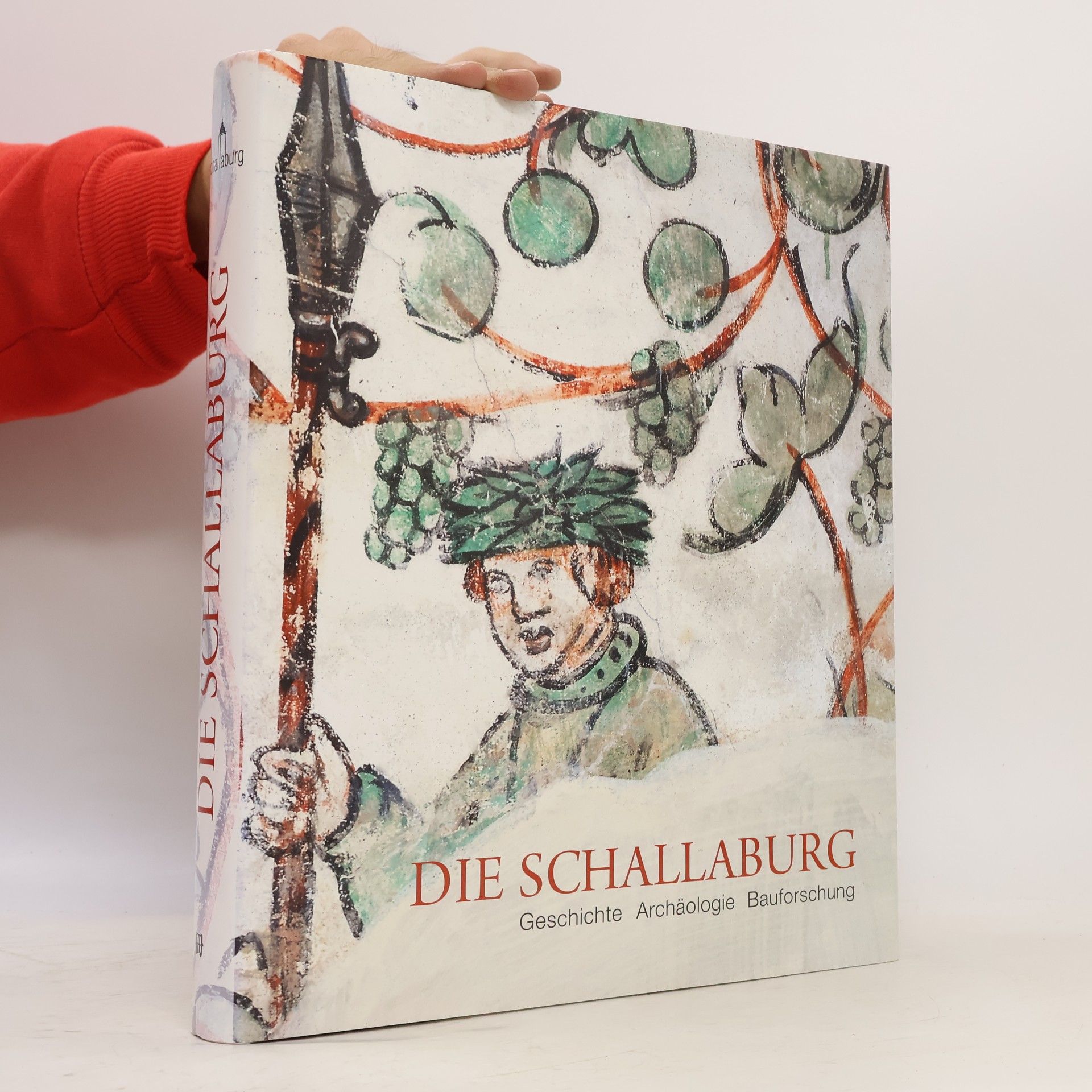 Peter Aichinger Rosenberger Die Schallaburg