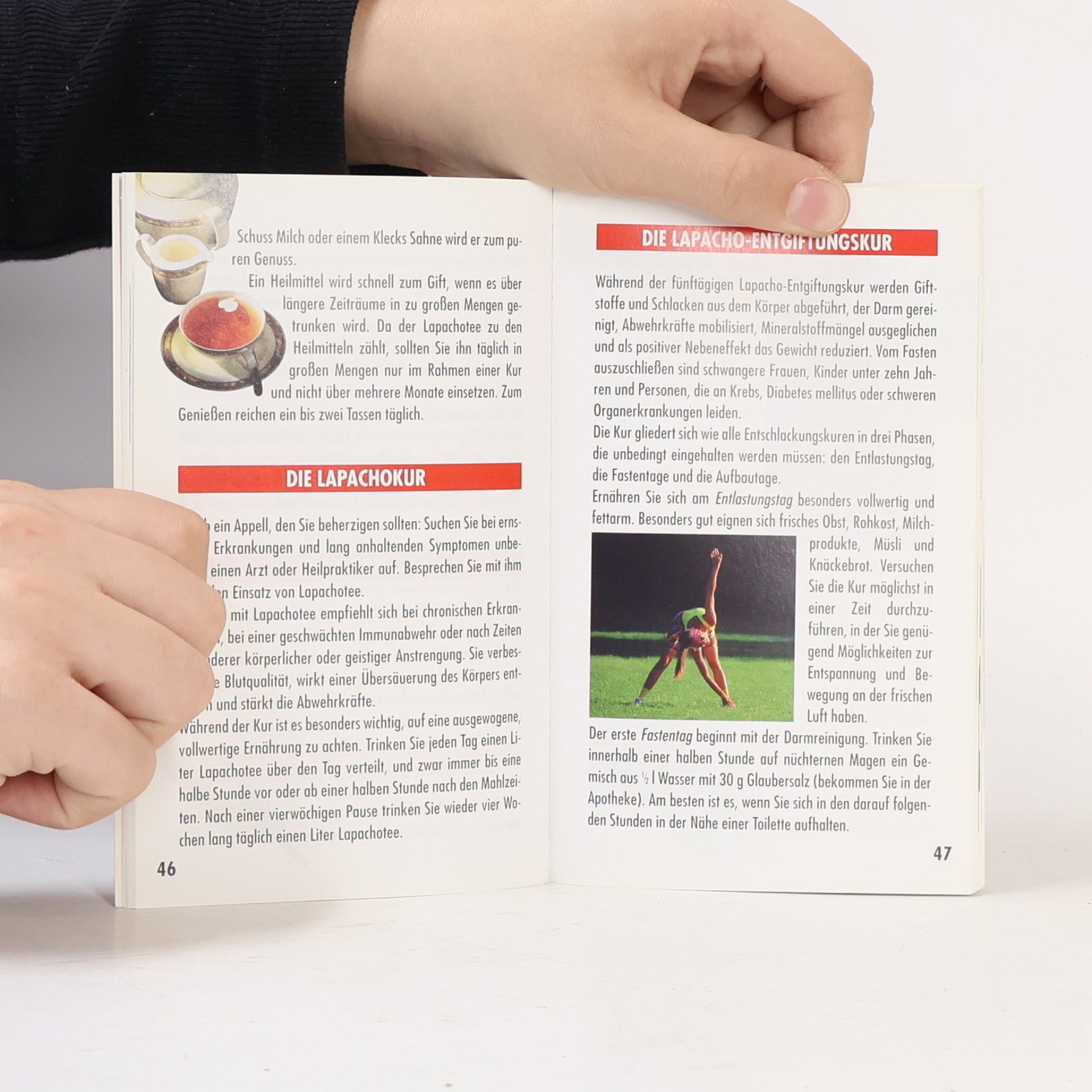 Various authors Die Teefibel. Vielfalt und Heilkraft aus der Natur