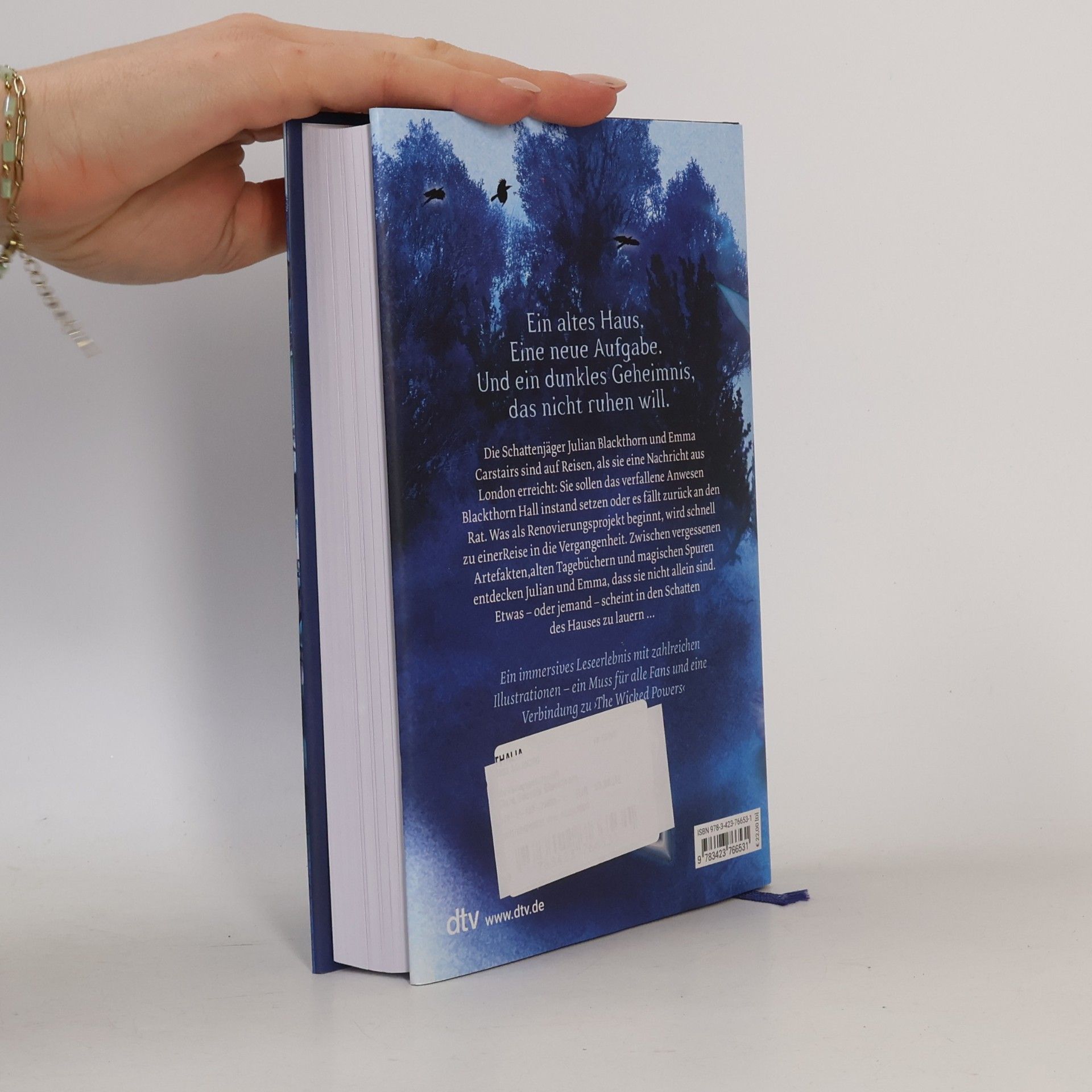 Cassandra Clare Secrets of Blackthorn Hall