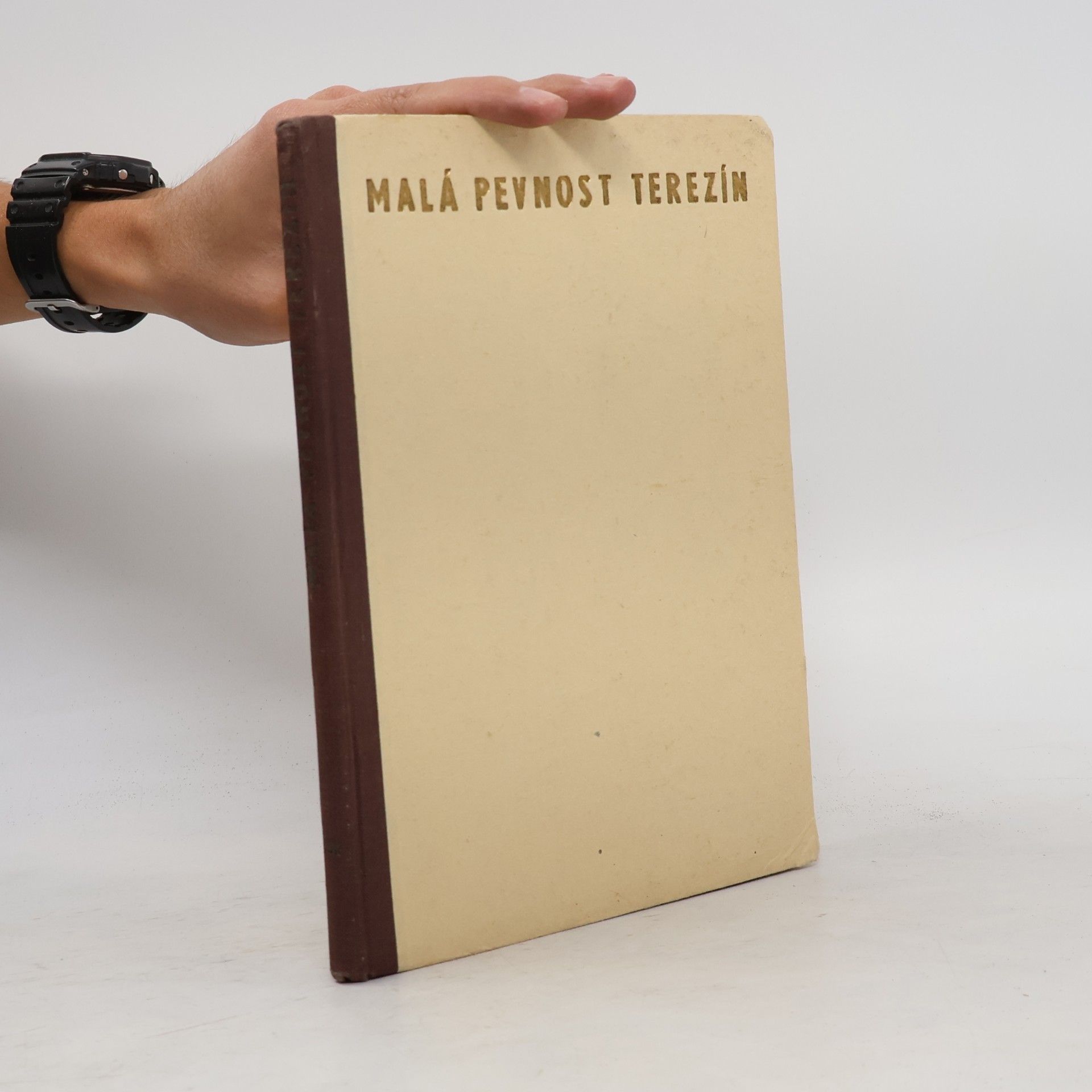 Kolektiv autorů Malá pevnost Terezín