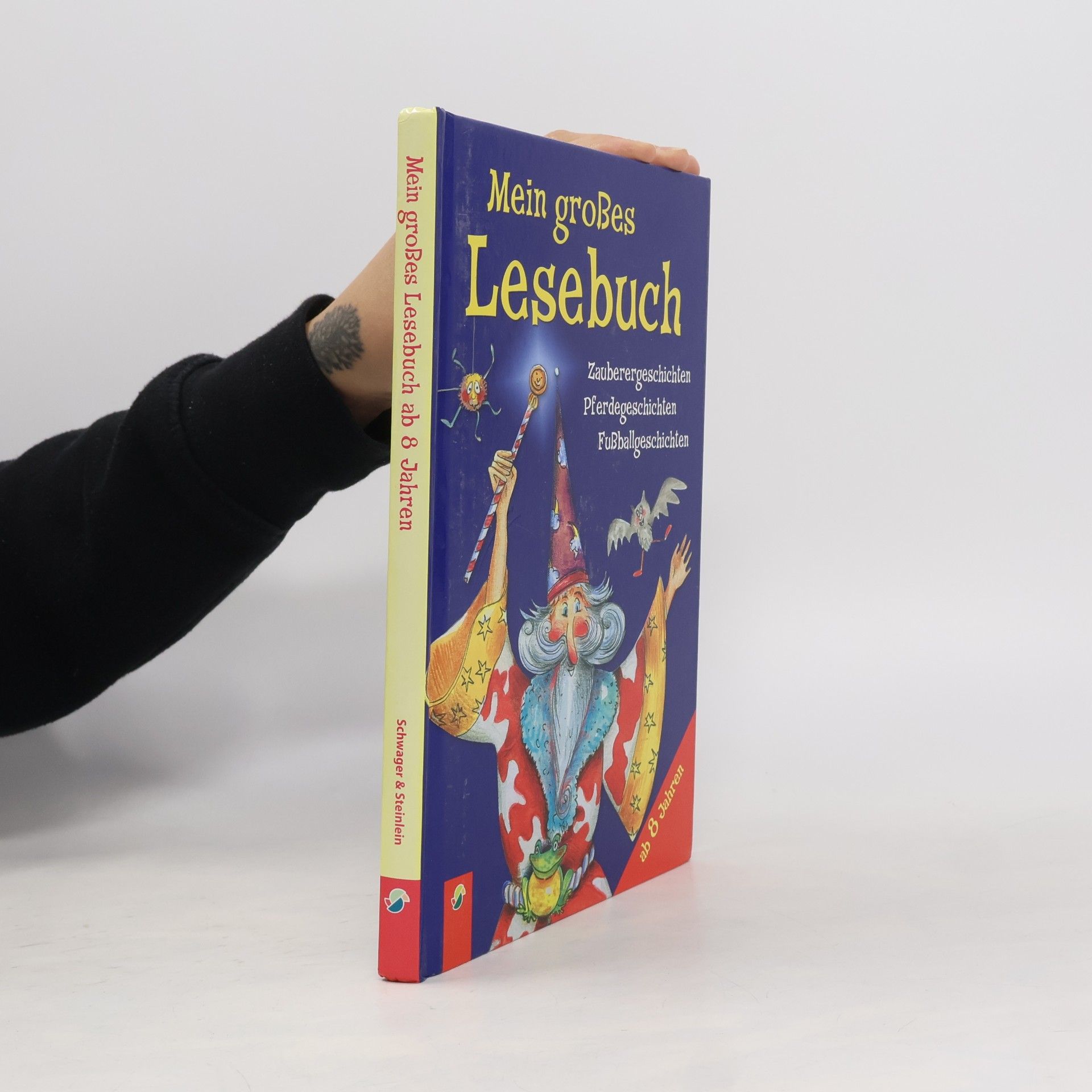 Mein großes Lesebuch