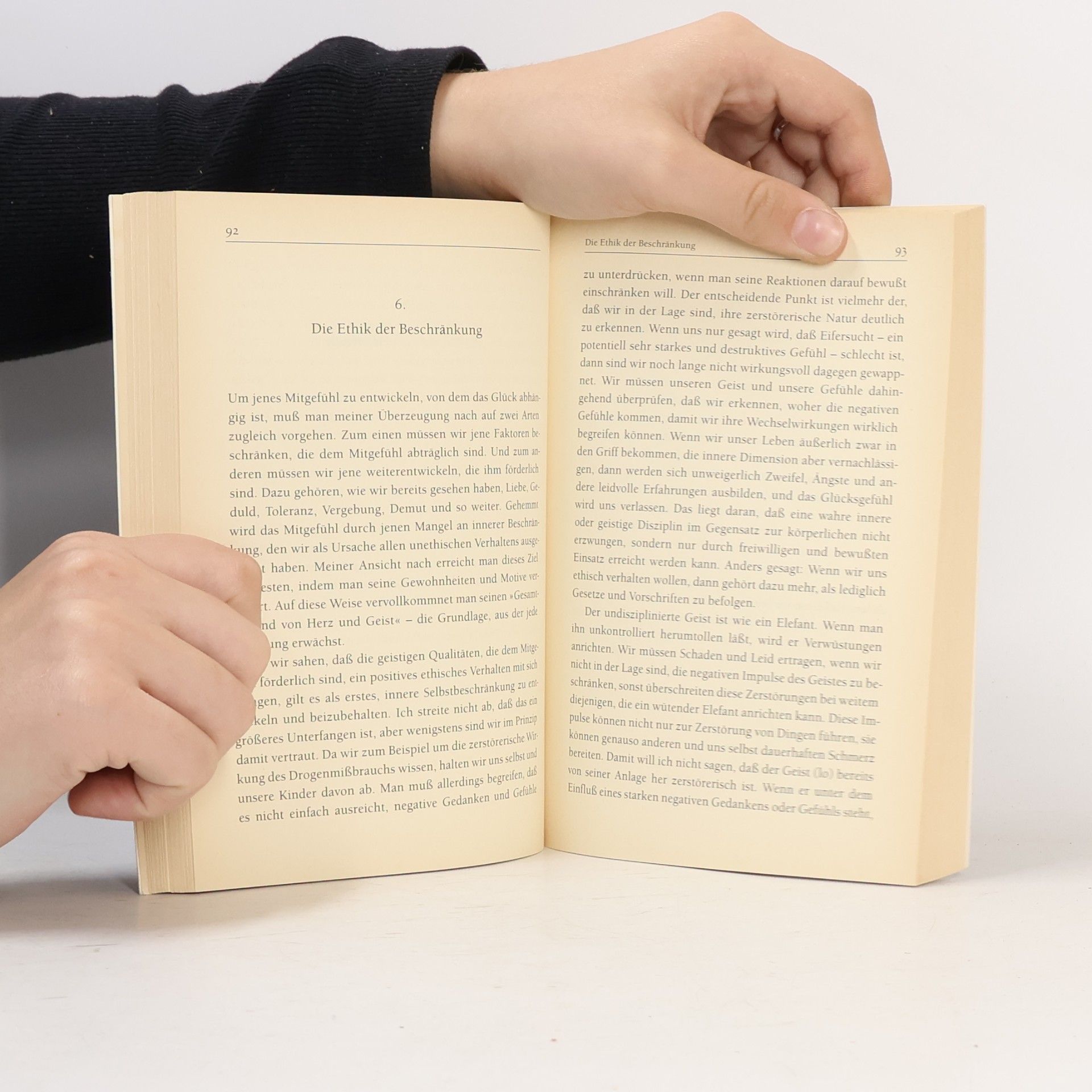 Dalai XIV Lama Das Buch der Menschlichkeit