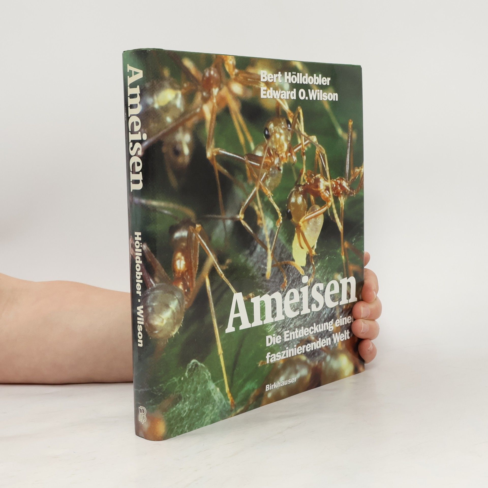 Bert Hölldobler Ameisen