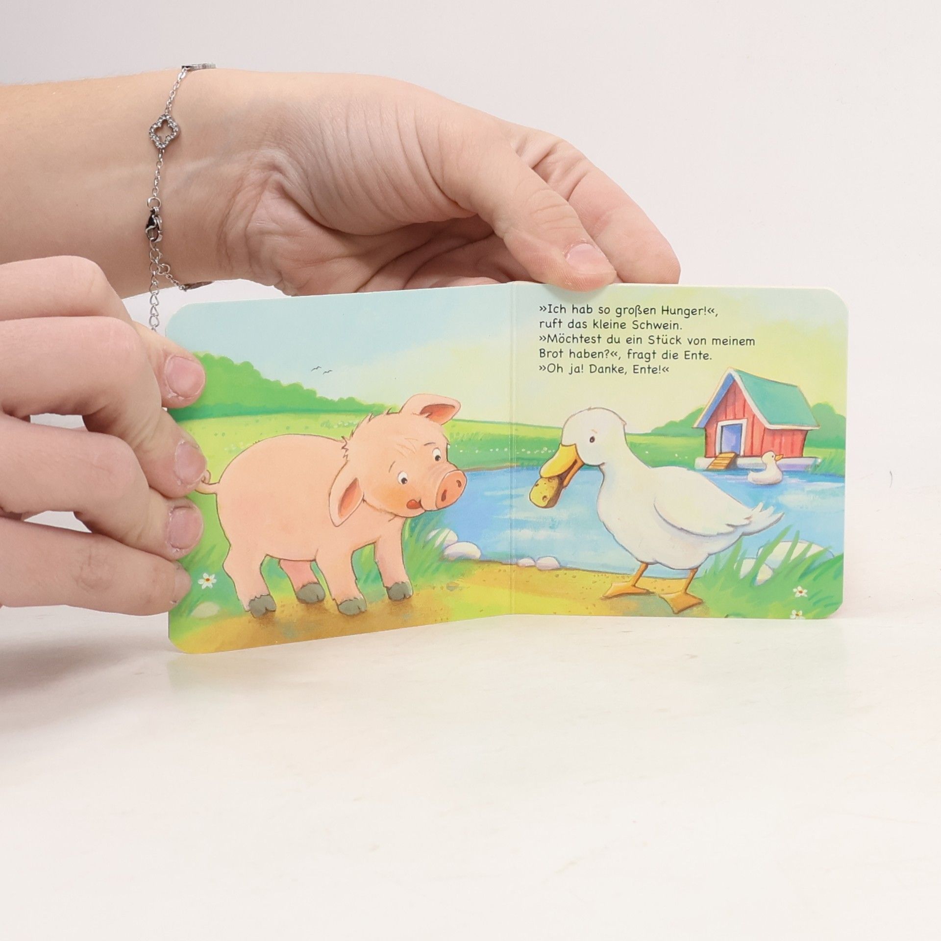 Andrea Hebrock Das kleine Schwein