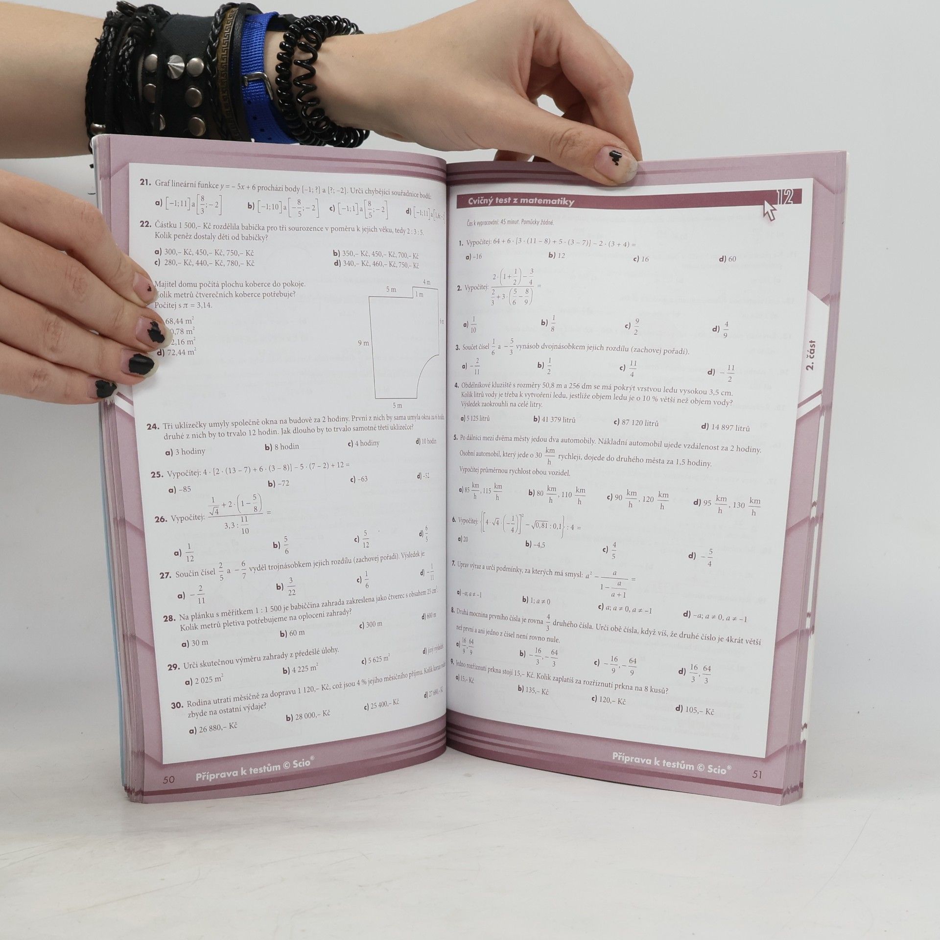 Kolektiv autorů Testy z matematiky 2009