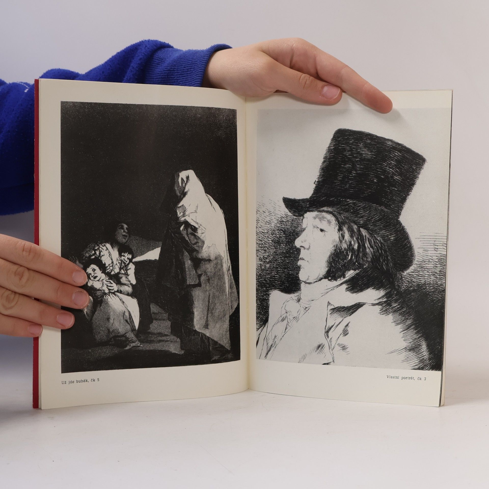 Eva Bužgová Francisco Goya