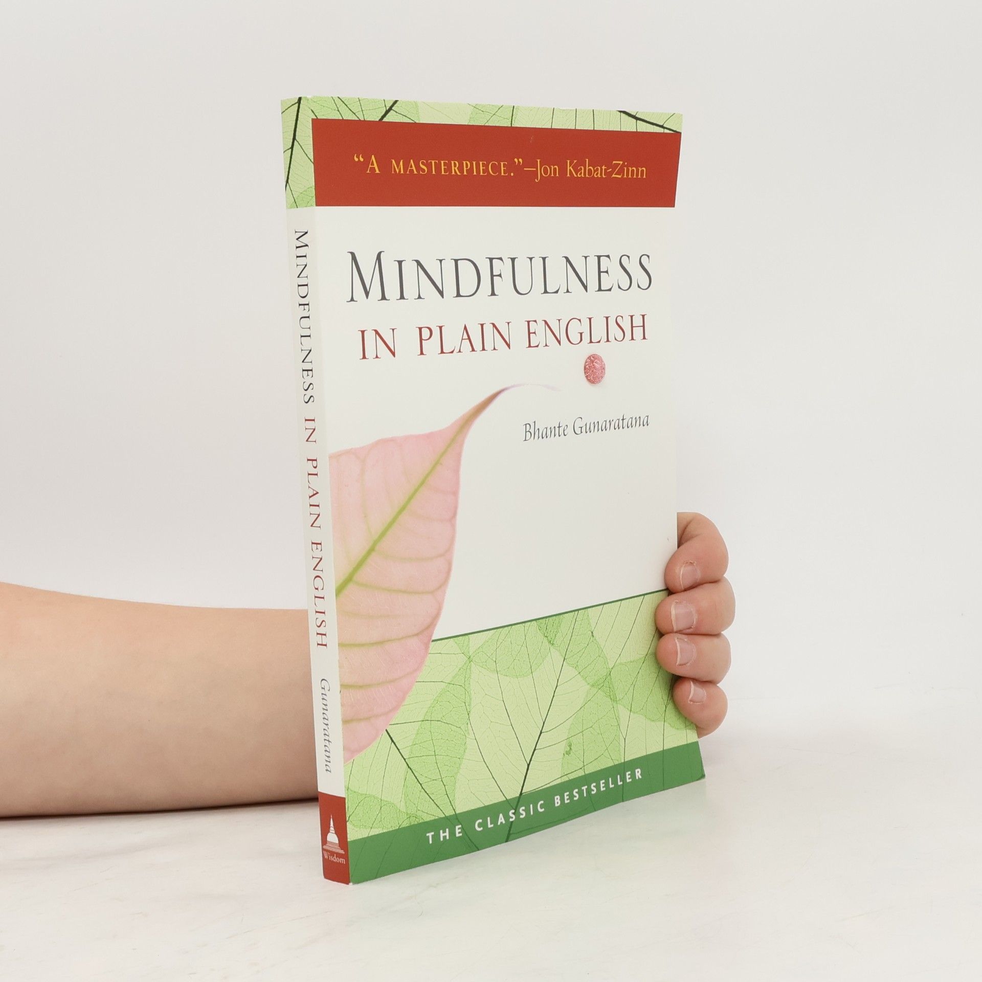 Henepola Gunaratana Mindfulness in plain English