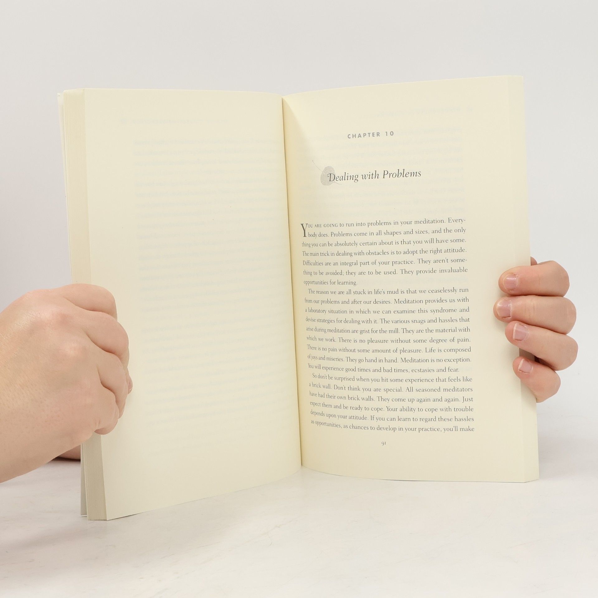 Guṇaratana Mindfulness in plain English