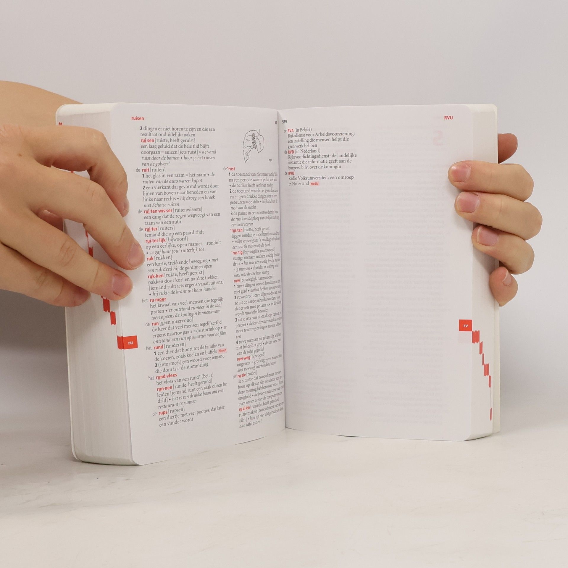 Marja Verburg Van Dale Pocketwoordenboek Nederlands als tweede taal