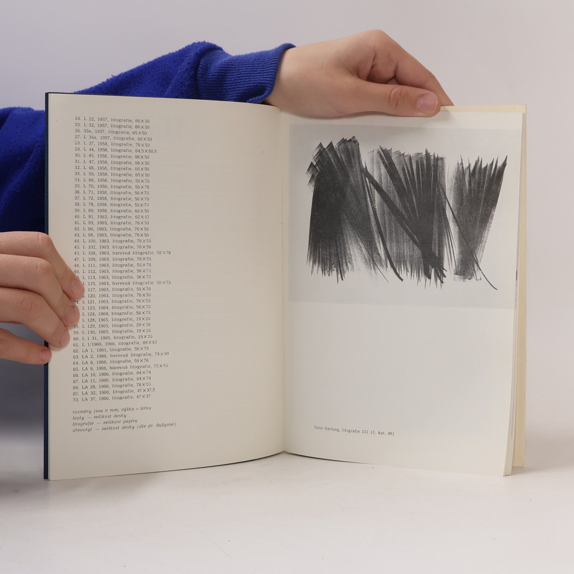 kolektiv Hartung, Tapies, Johns, Hozo