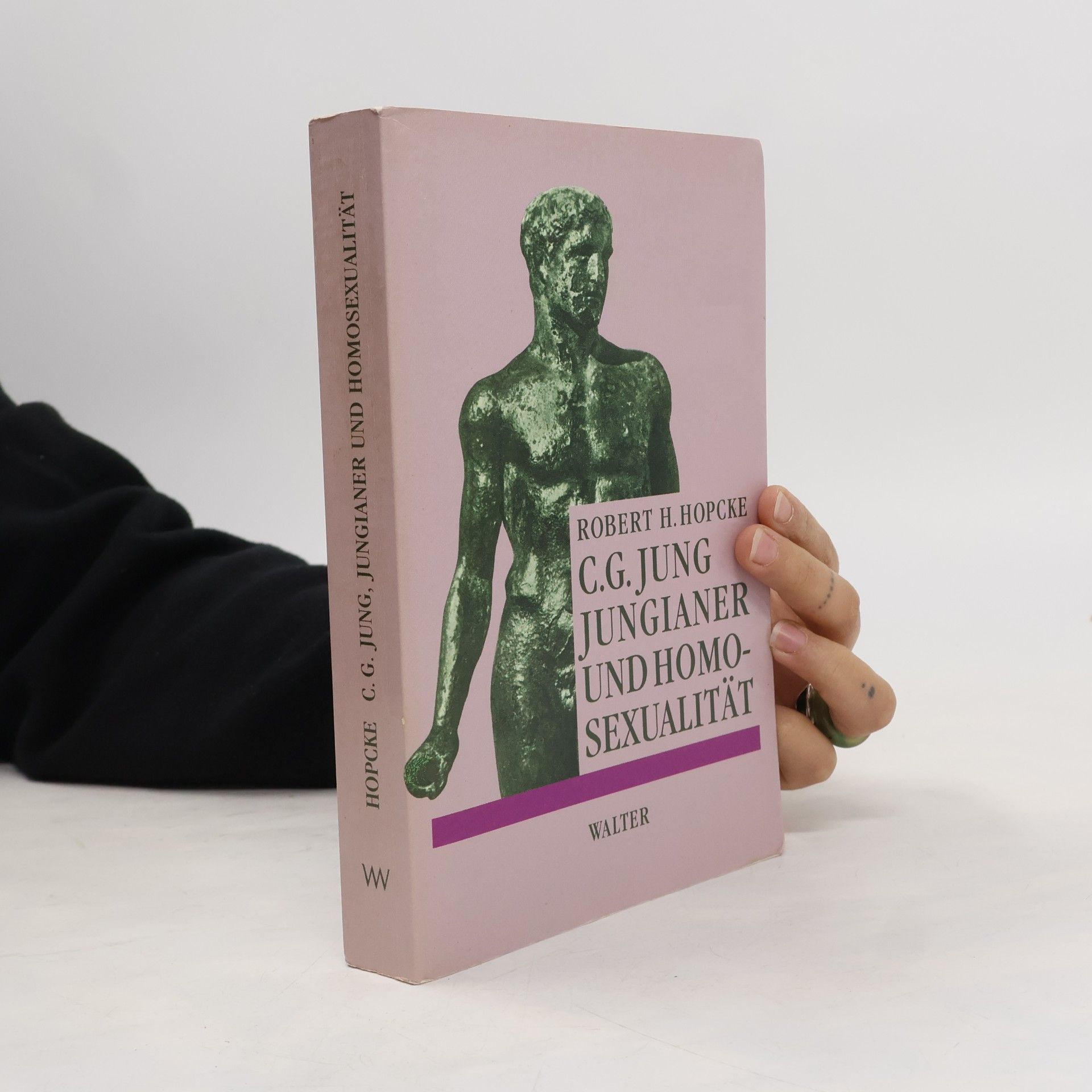 Robert H. Hopcke C. G. Jung, Jungianer und Homosexualität