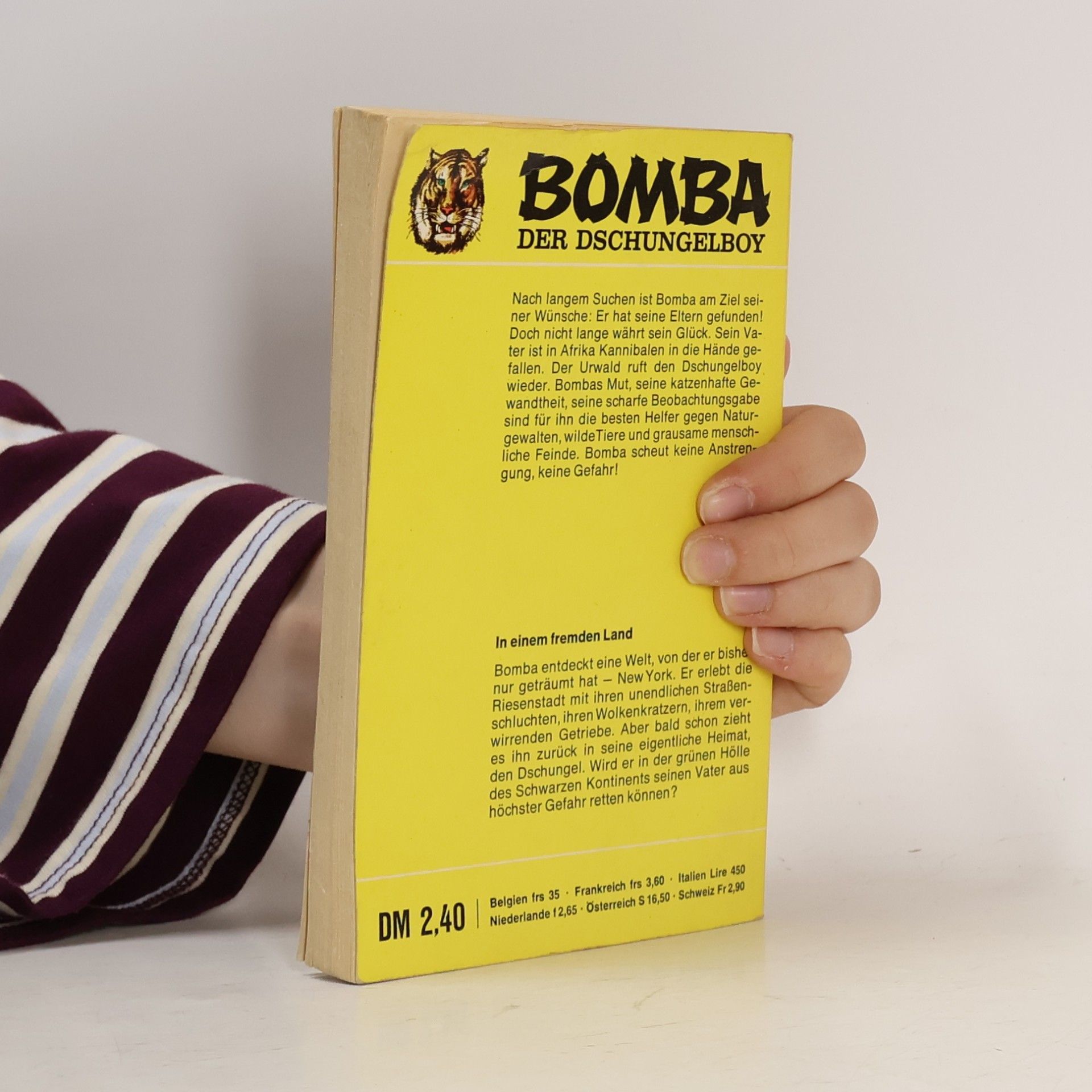 Roy Rockwood Bomba 10 - In einem fremden Land