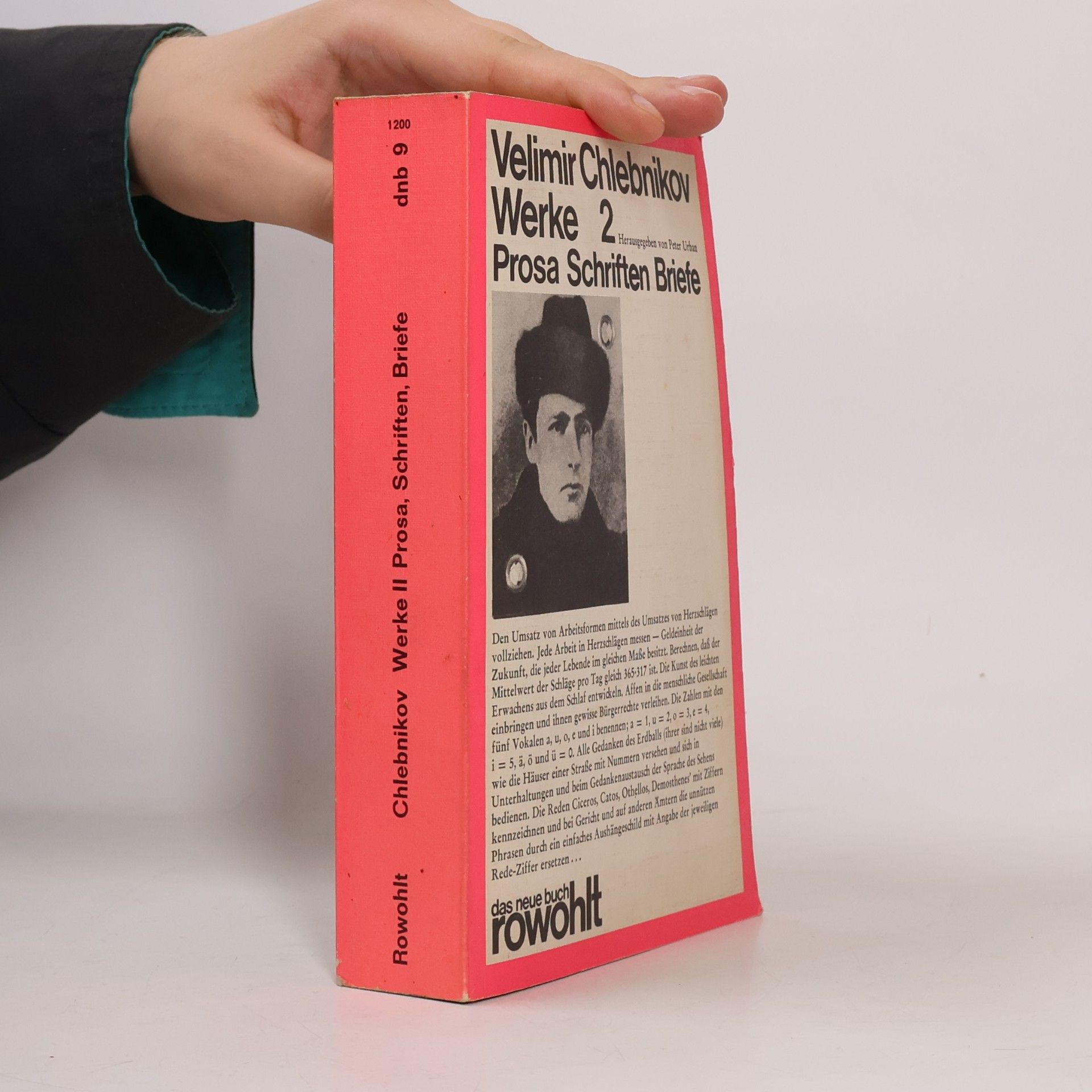 Velemir Chlebnikov Werke 2: Prosa, Schriften, Briefe