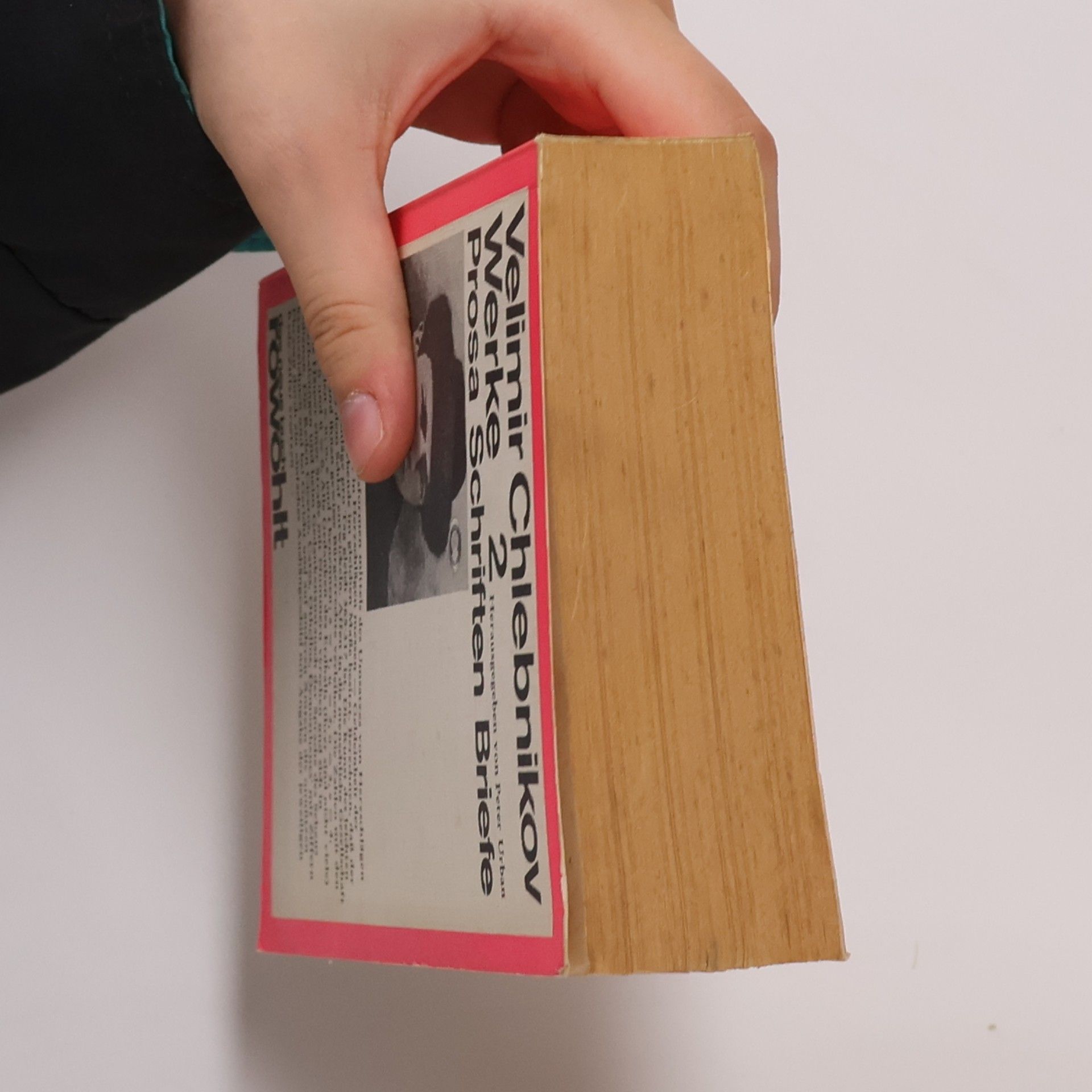 Velemir Chlebnikov Werke 2: Prosa, Schriften, Briefe
