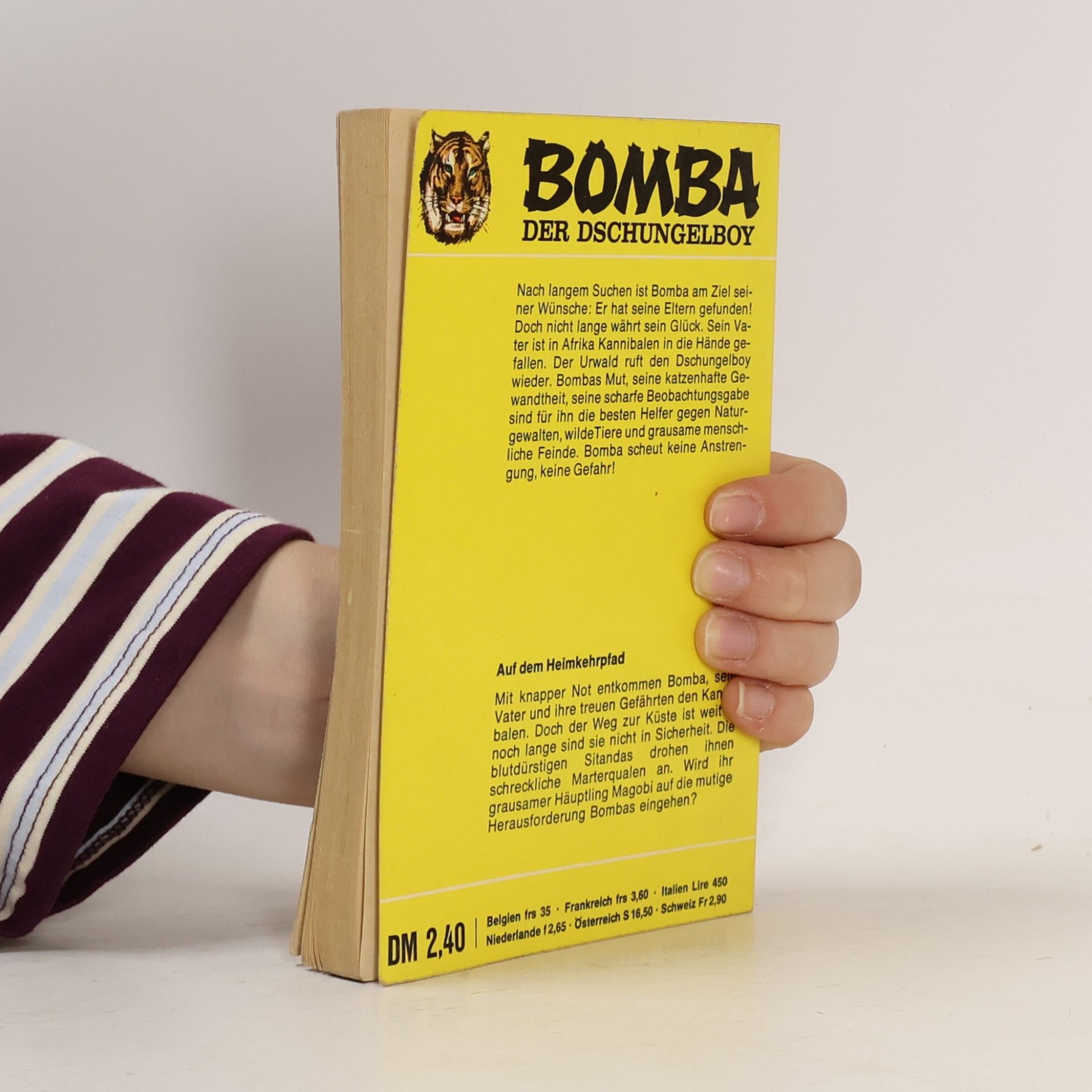 Roy Rockwood Bomba 13: Auf dem Heimkehrpfad