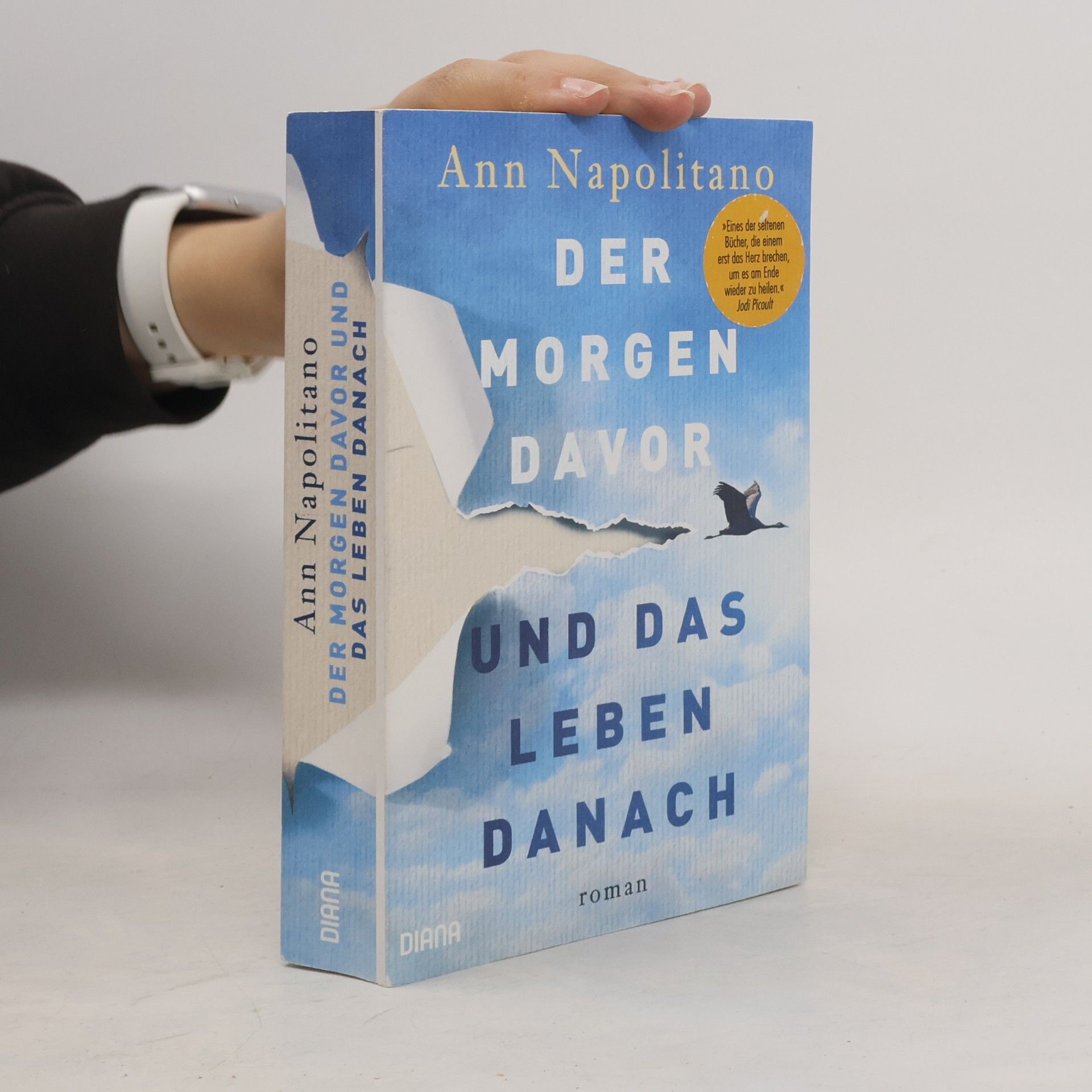 Ann Napolitano Der Morgen davor und das Leben danach