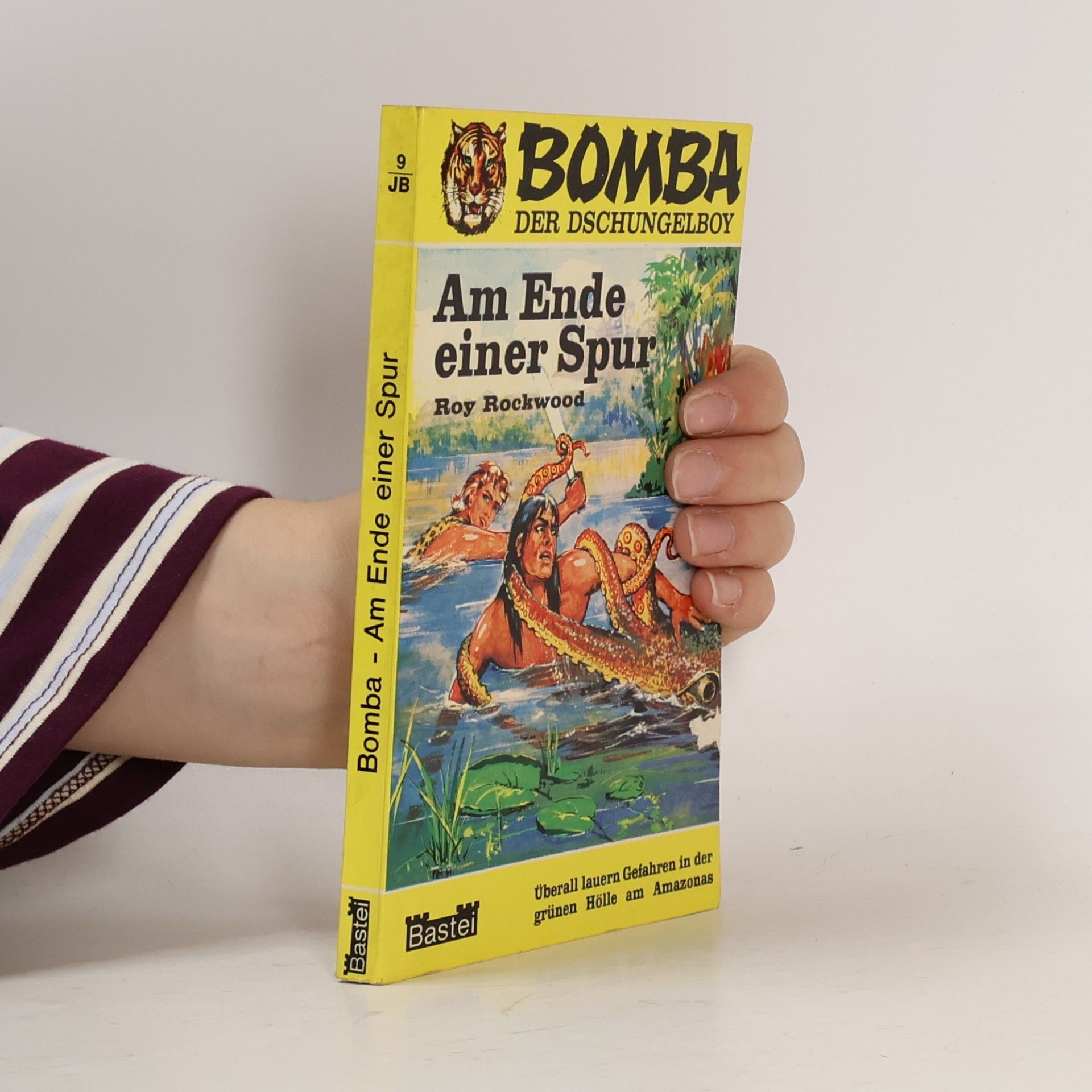 Roy Rockwood Bomba 9 - Am Ende einer Spur