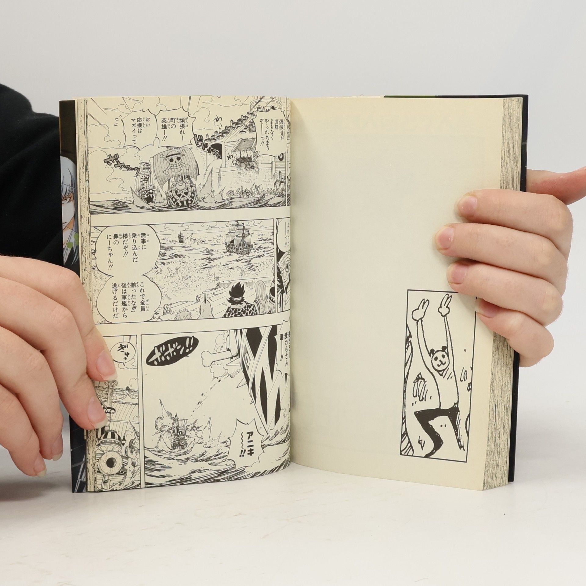 Eiichiro Oda One Piece