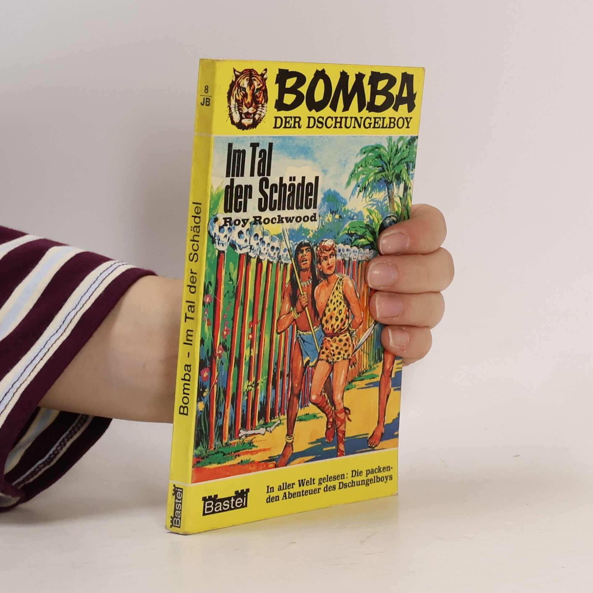 Roy Rockwood Bomba 8 – Im Tal der Schädel