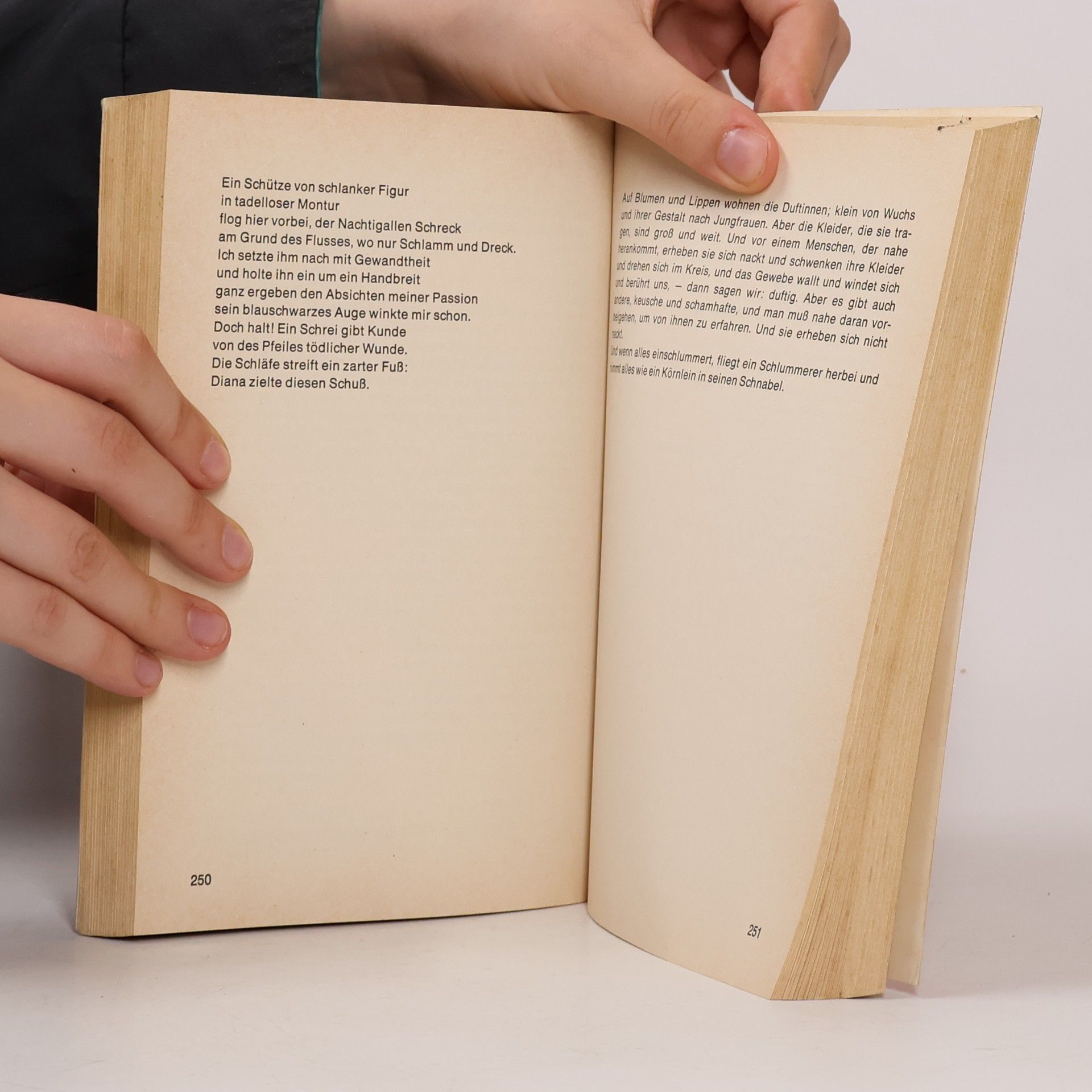 Velemir Chlebnikov Werke 1: Poesie