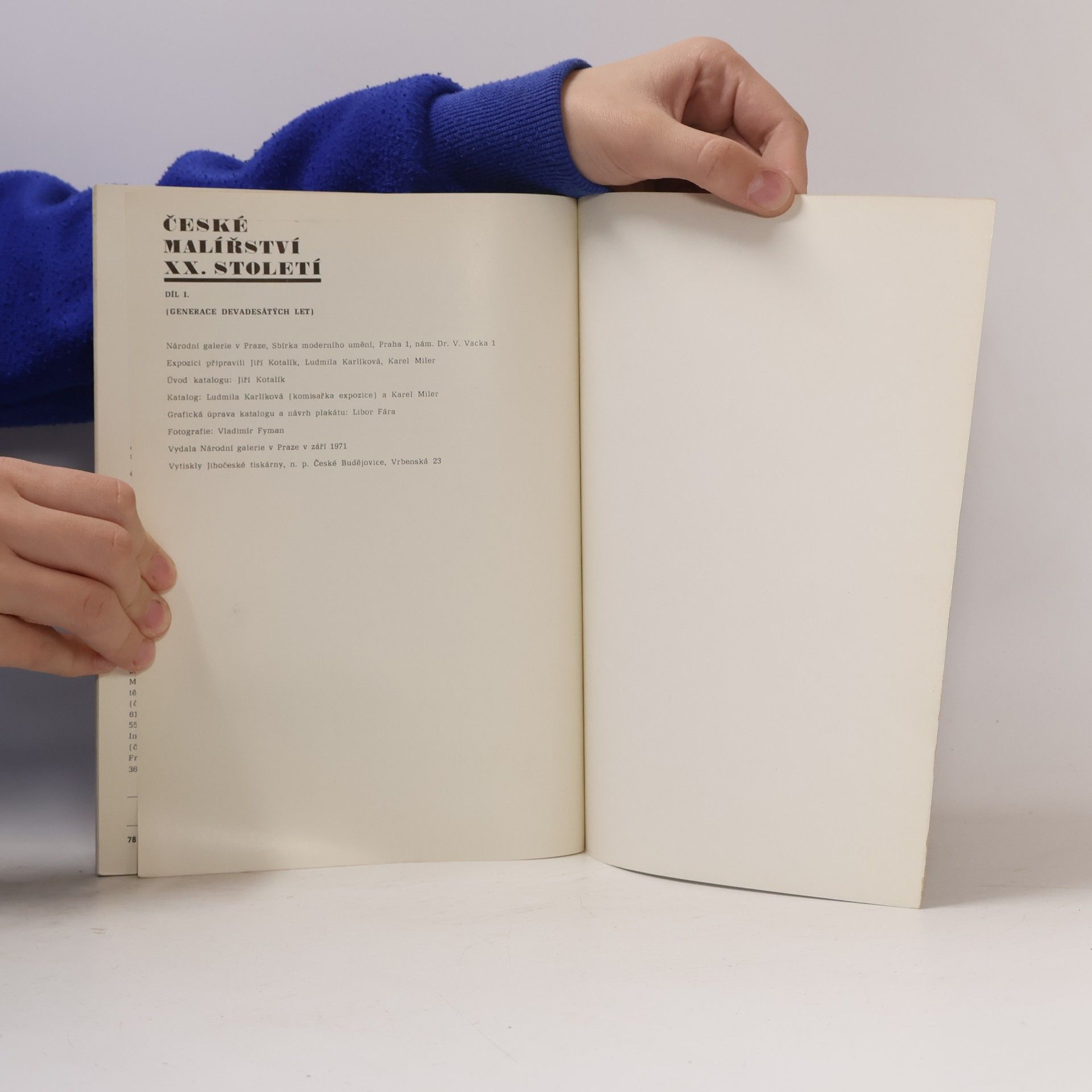 Various authors České malířství XX. století. Díl I.