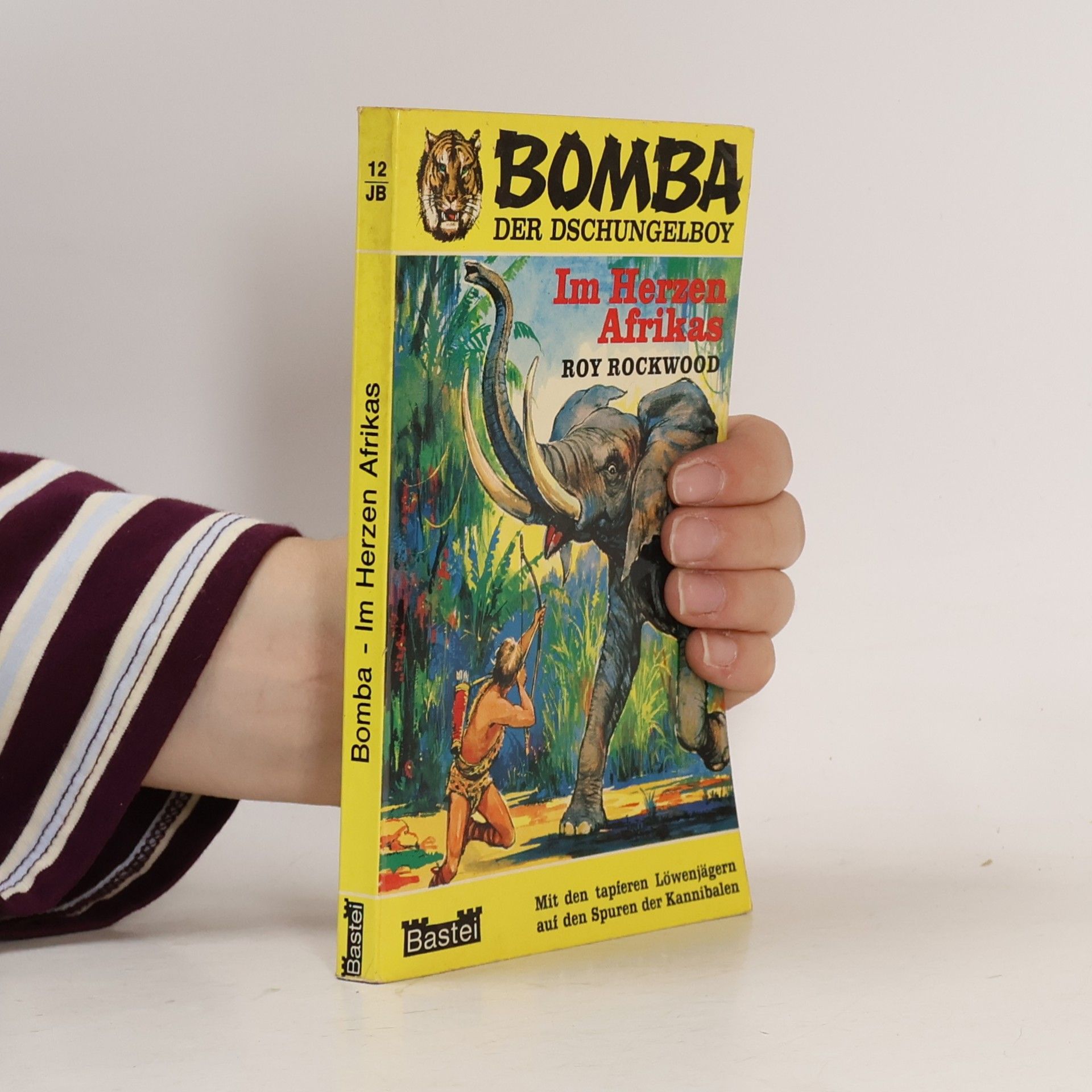 Roy Rockwood Bomba 12: Im Herzen Afrikas