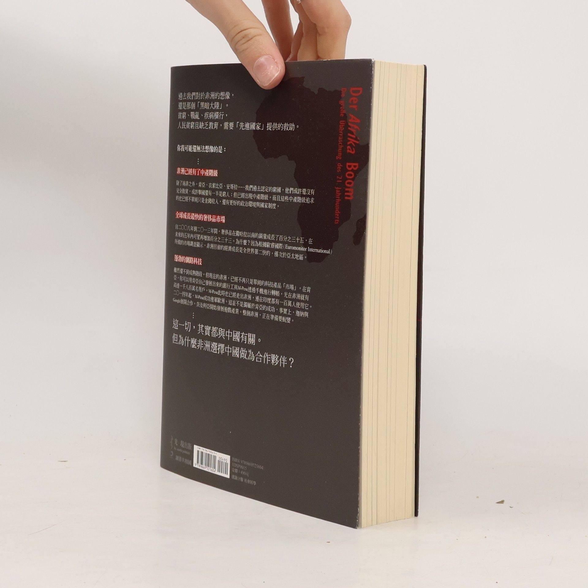 Frank Sieren 爭奪非洲