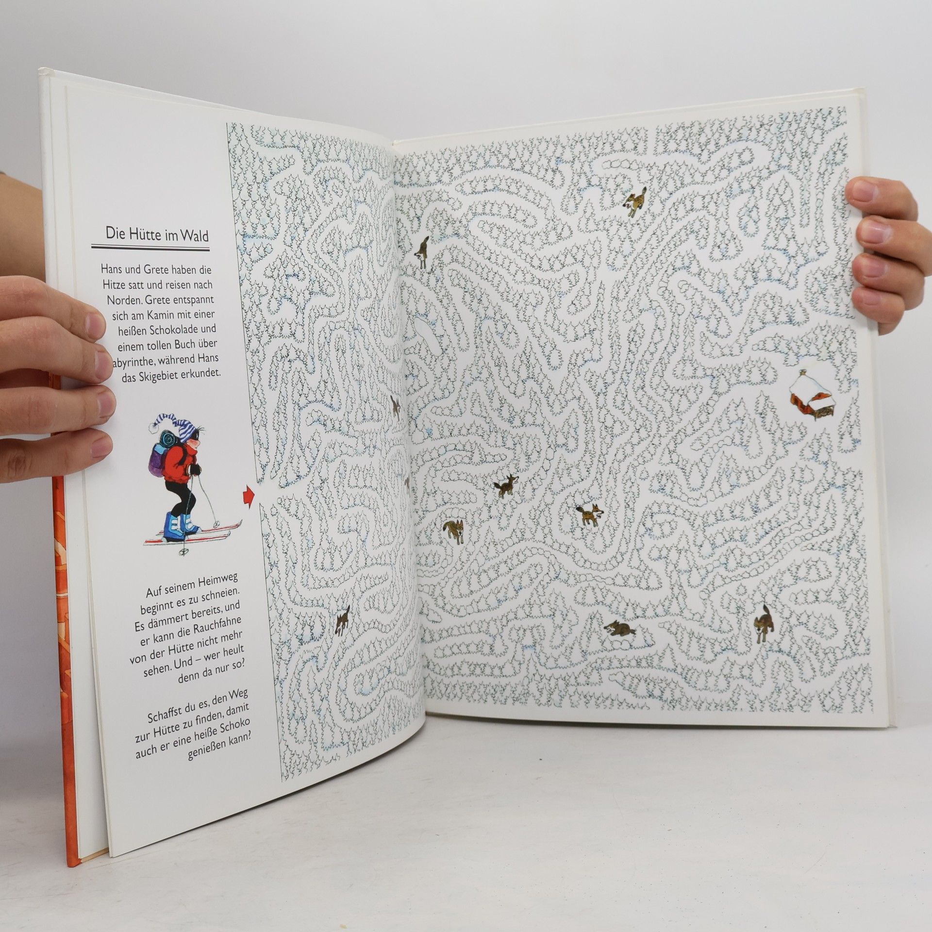 Martin Nygaard Das Große Labyrinthbuch