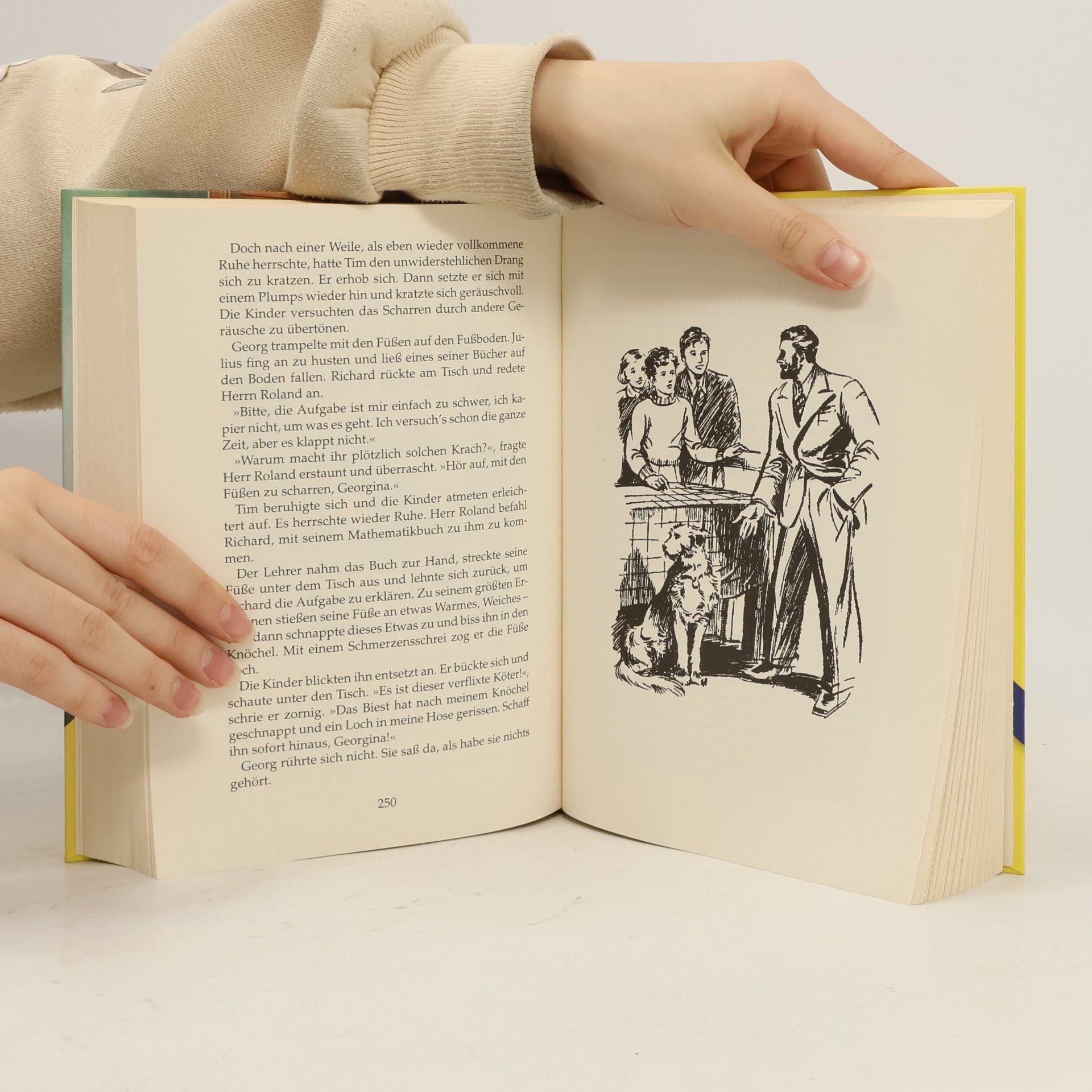 Enid Blyton Fünf Freunde: Ihre ersten großen Abenteuer
